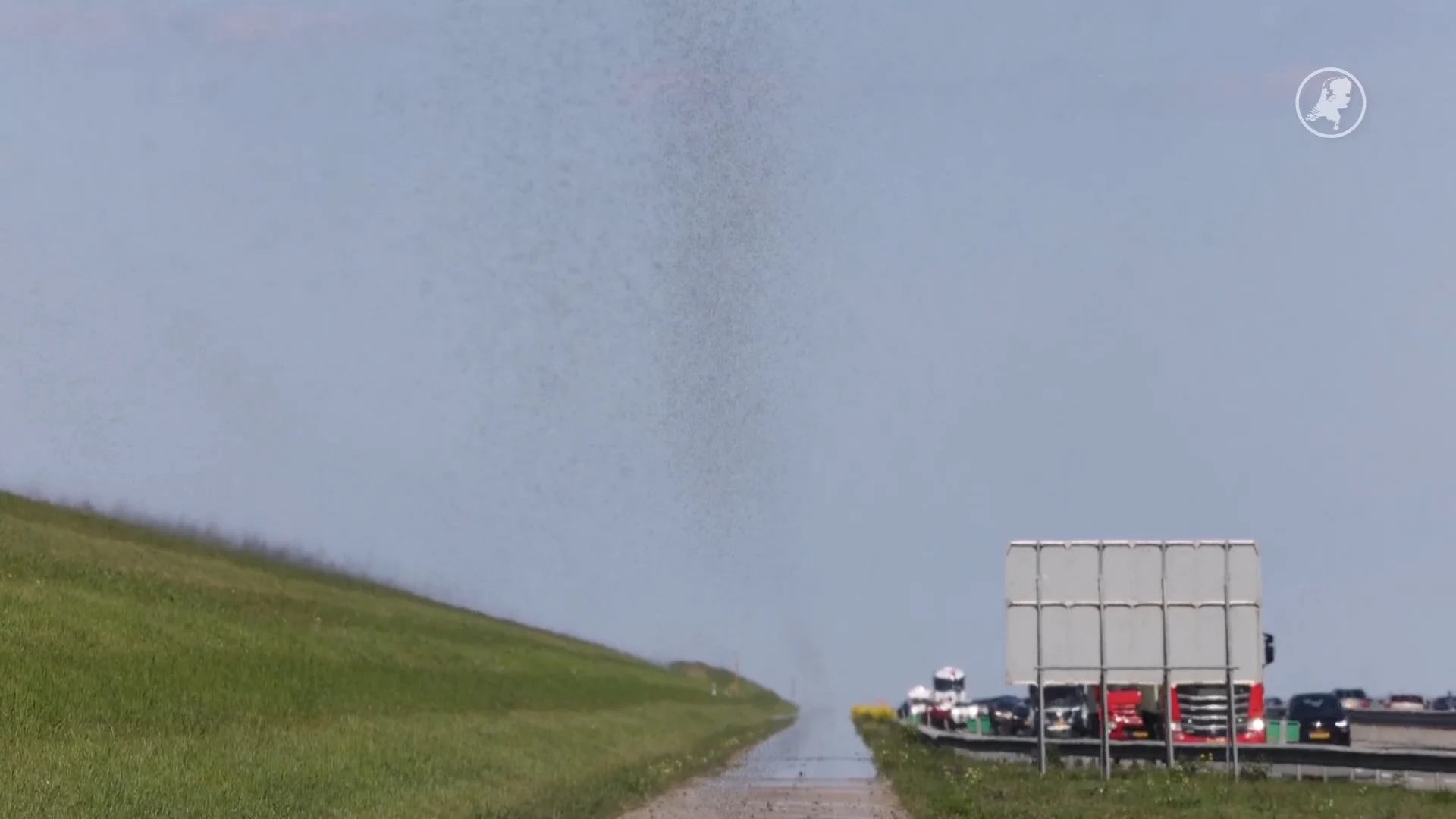 Bijzonder natuurfenomeen: miljoenen dansmuggen boven Afsluitdijk