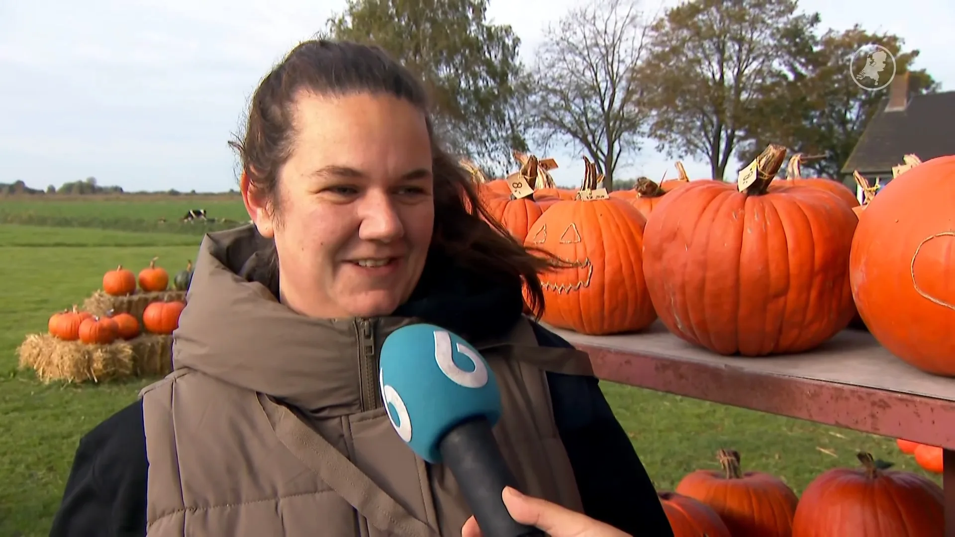 ZIEN: Mensen poseren massaal tussen de pompoenen