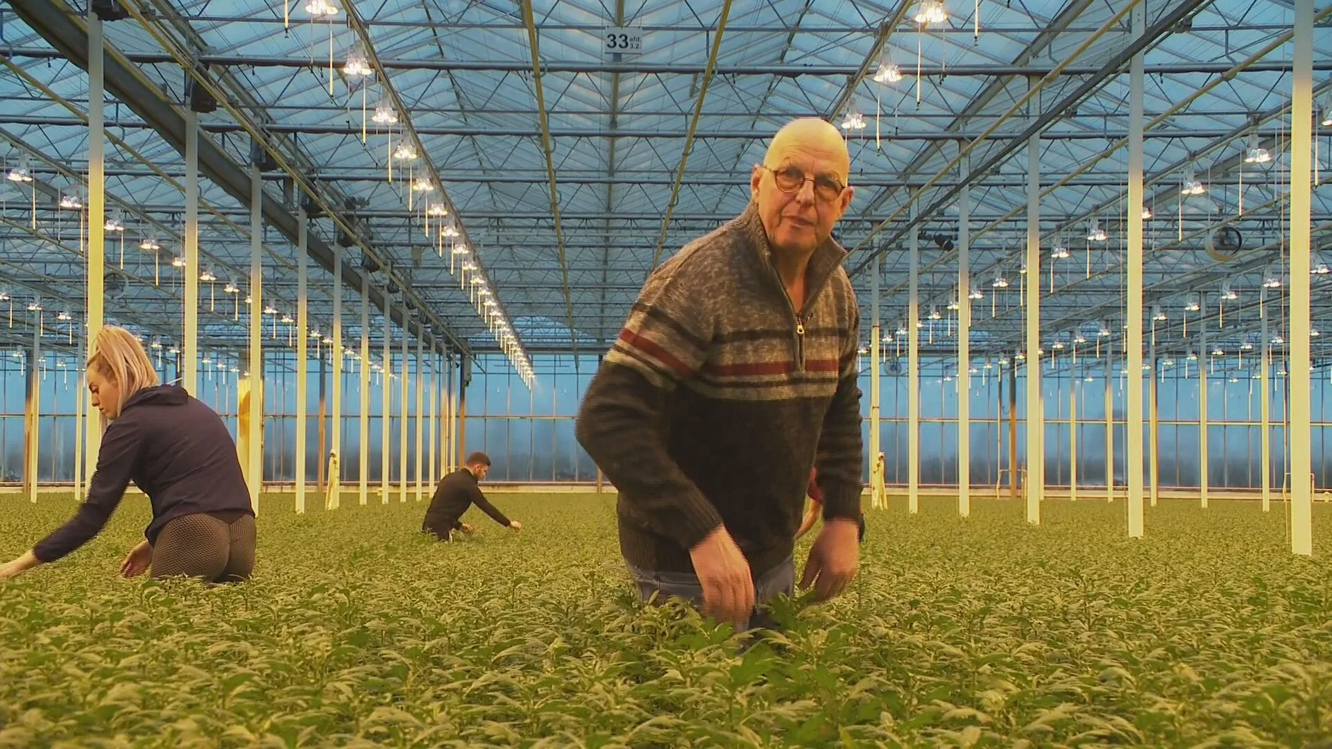 Bloemkwekers maken zich zorgen over situatie Oekraïne: 'Wij betalen straks de rekening'