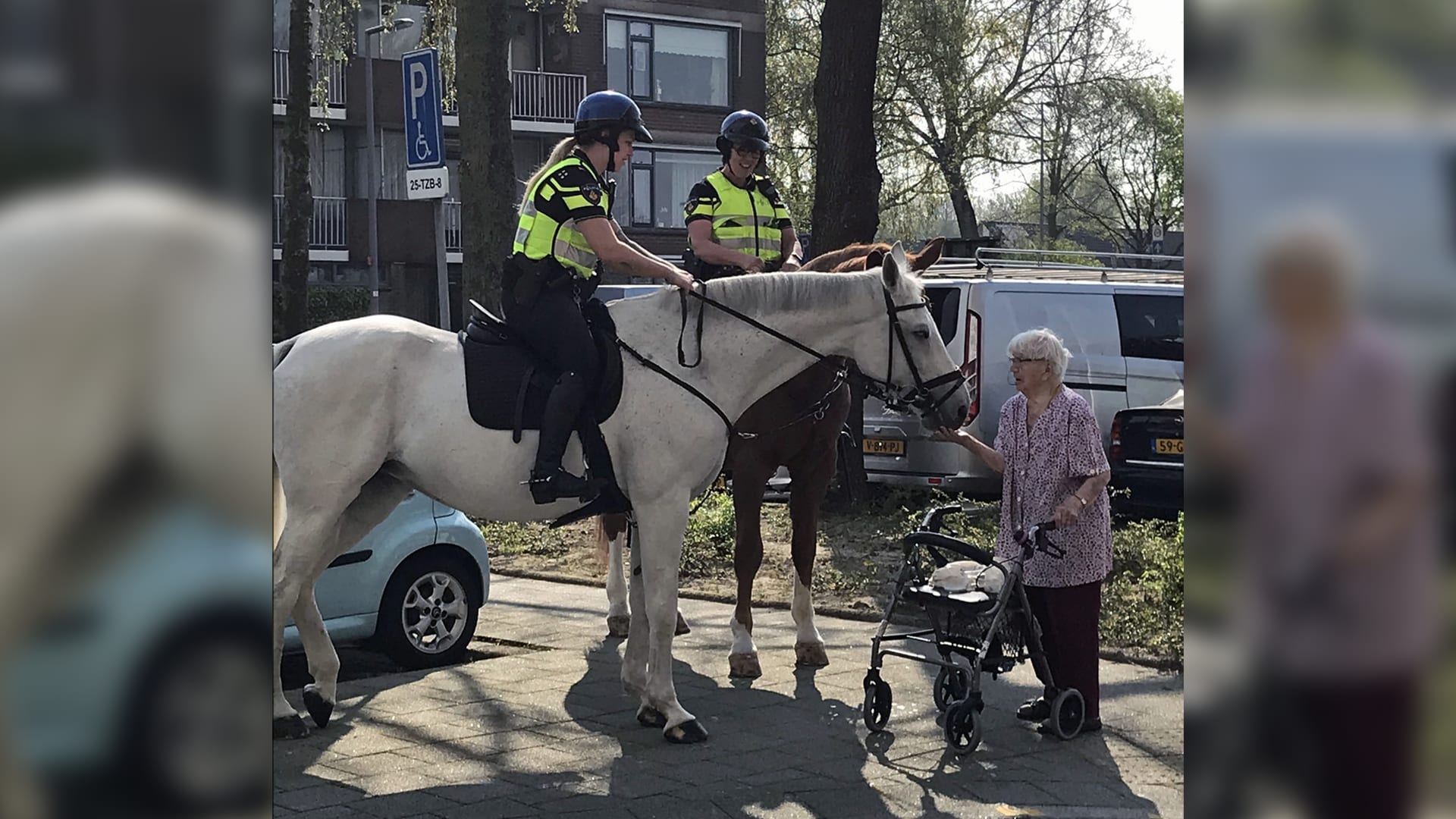 Oma Jopie (99) het 'Rotterdamse suikerklontjesmevrouwtje' overleden