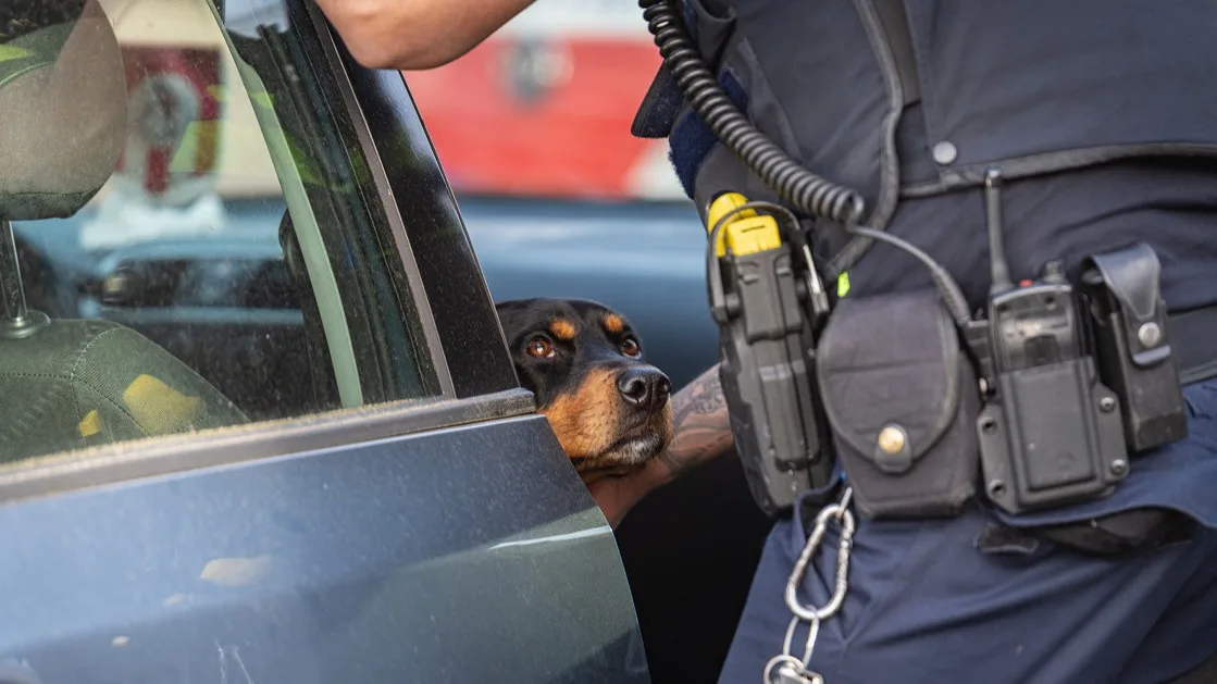 Hond Dibbes na 24 uur bevrijd uit auto in Rotterdam