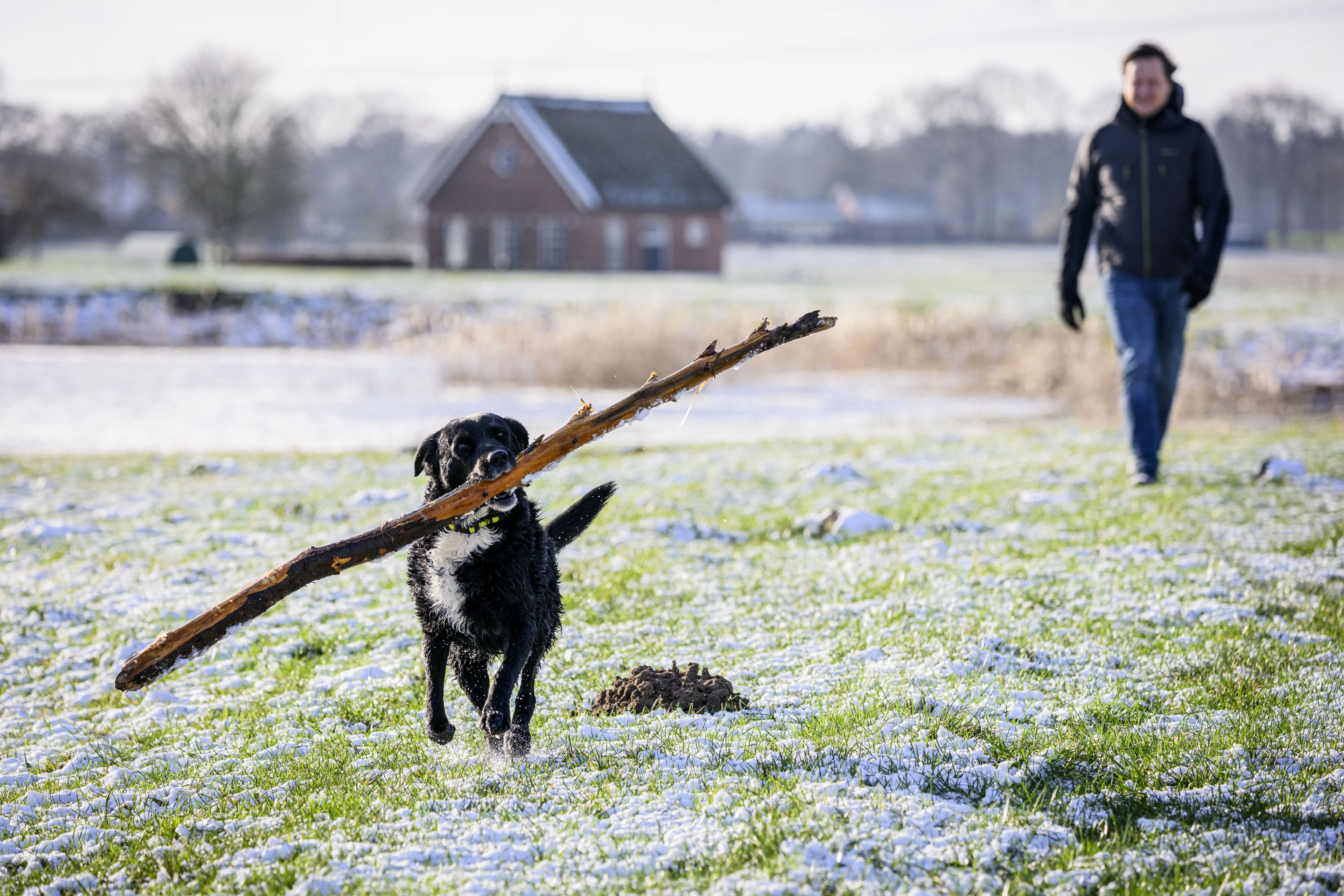 Nederland in tweedeling: noorden glad en koud, zuiden zachter