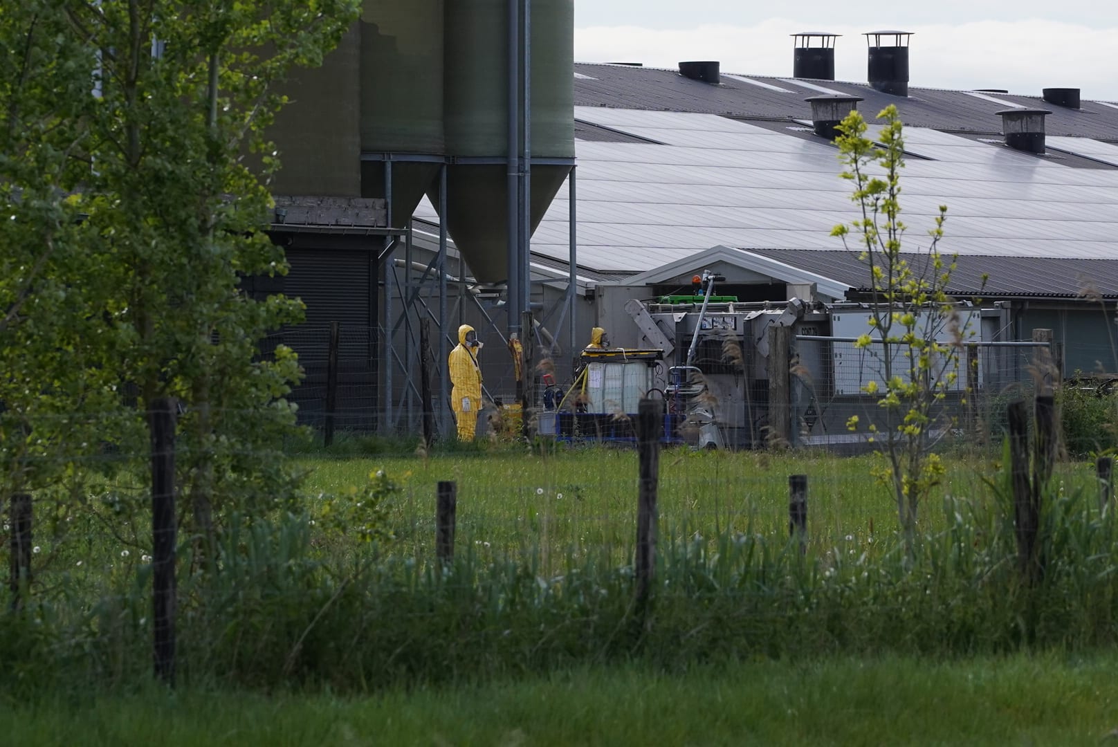 Vogelgriep vastgesteld in Biddinghuizen: 55.000 kippen gedood