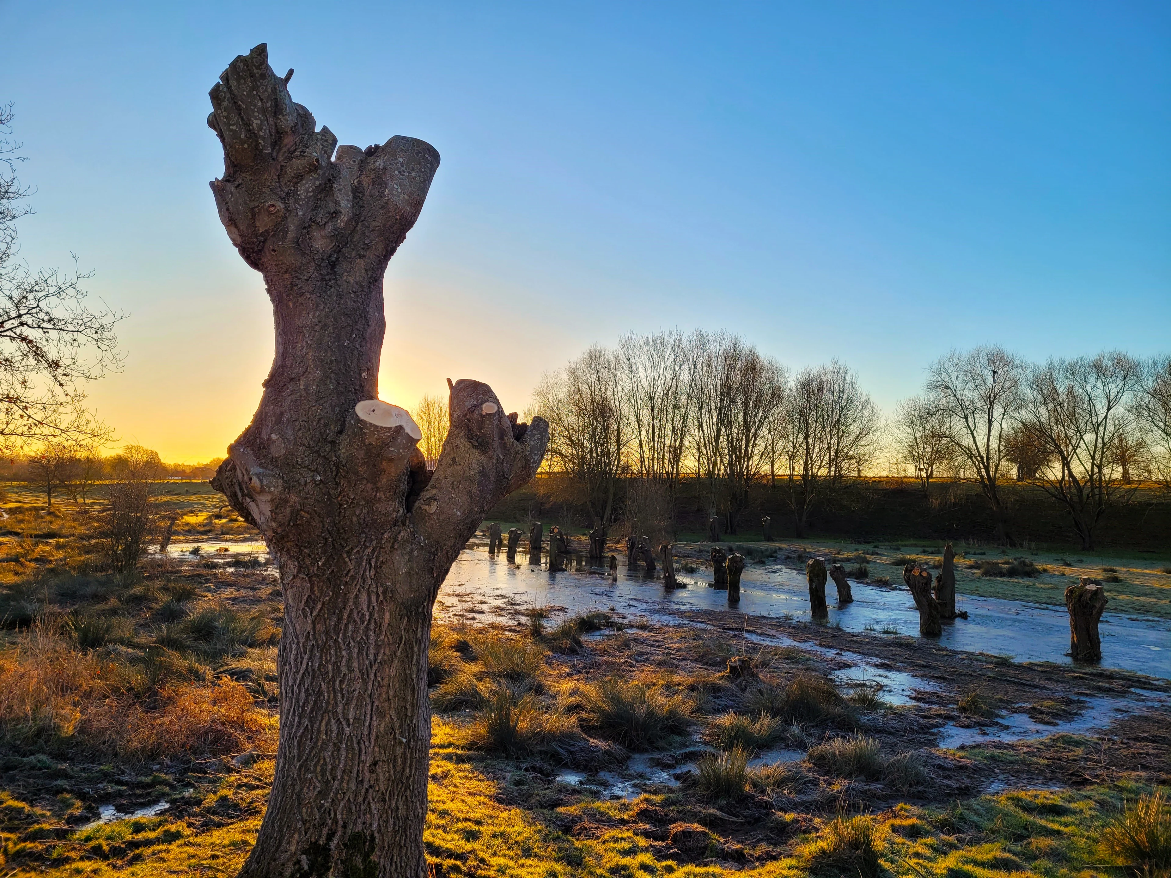 Grote temperatuurverschillen: van winterkou naar lentedagen met 20 graden