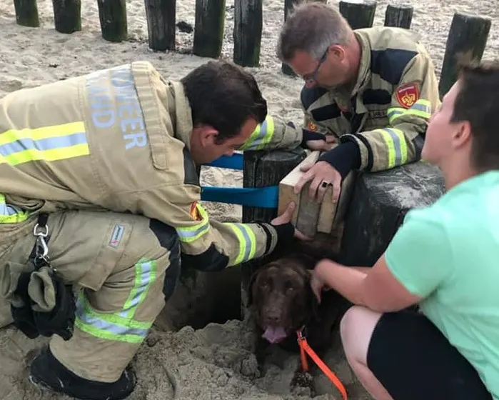 Hond komt klem te zitten tussen palen, brandweer Breskens wurmt hem los