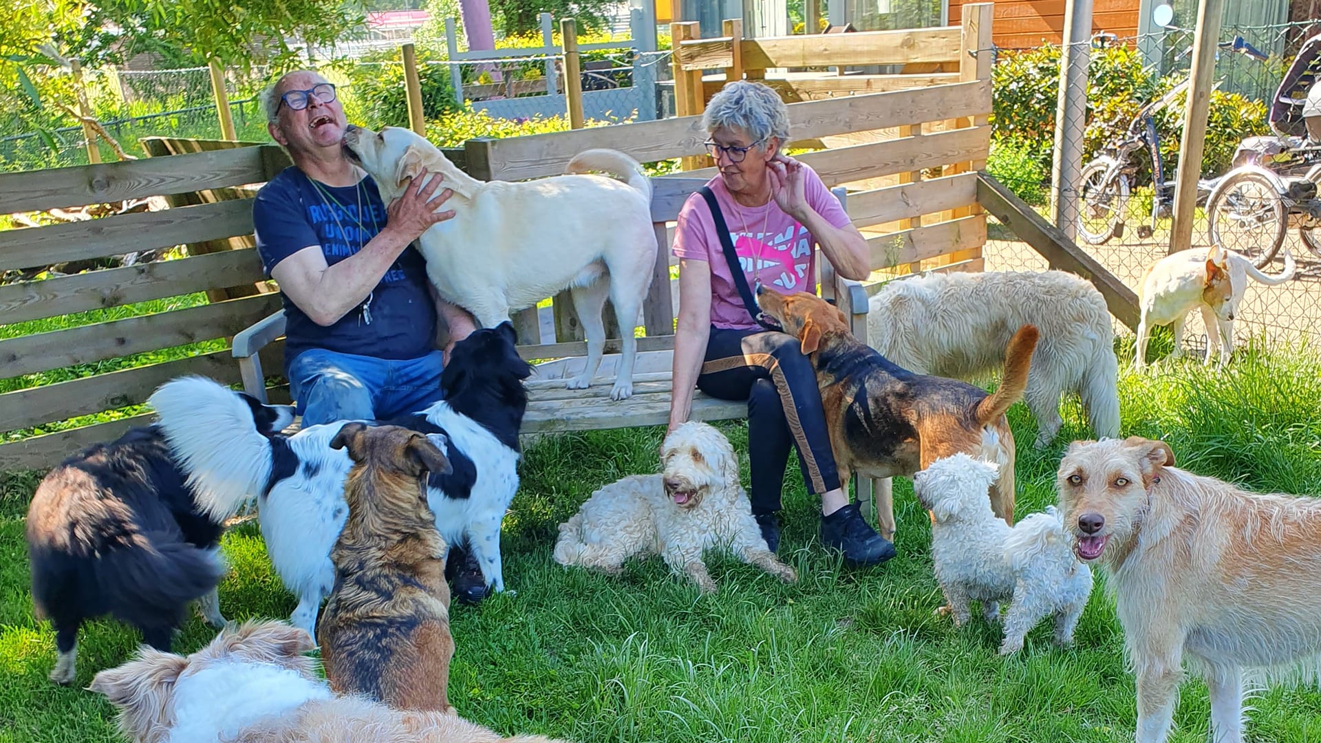 Gehandicapte Jeroen en Margot moeten huis uit: hondenservice voor dementerenden in gevaar
