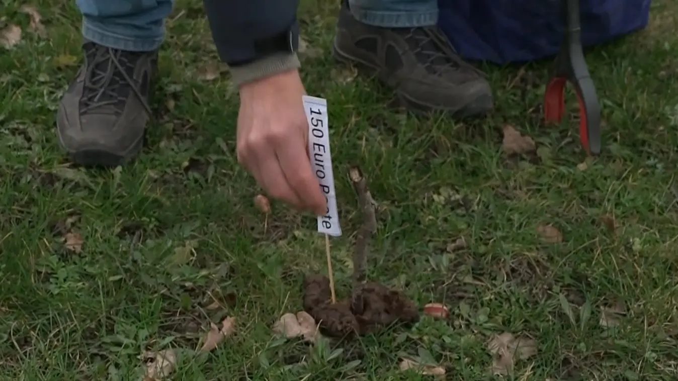 Poepprikker Wim is er klaar mee: 150 euro boete voor hondenpoep in Duiven