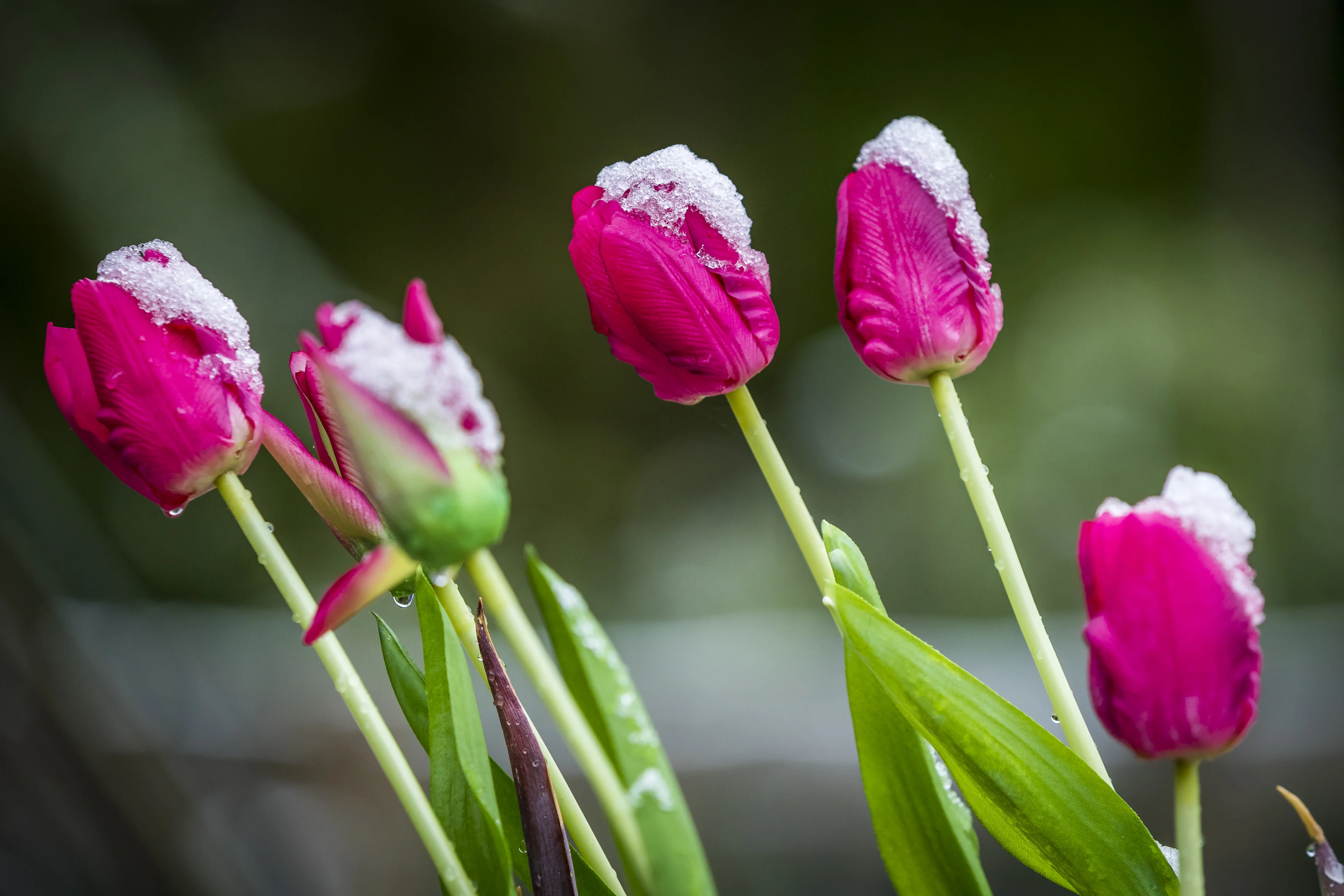 Vandaag kans op (winterse) buien, maar warm lenteweer in zicht