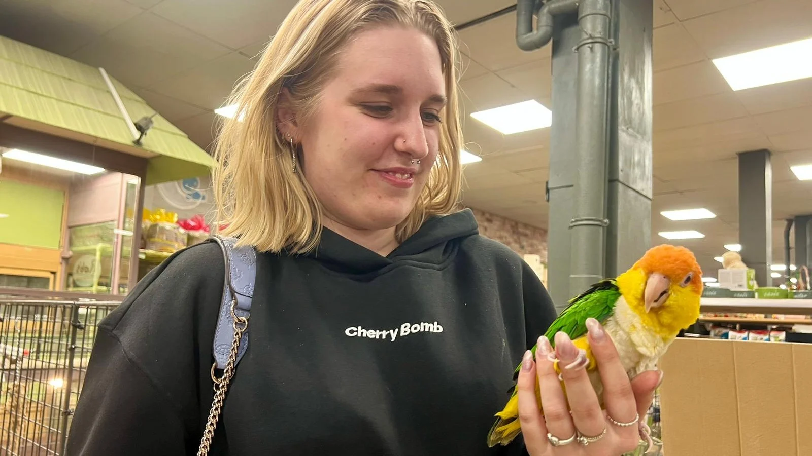 Gestolen papegaai Pino eindelijk gevonden en weer terug in Rotterdam