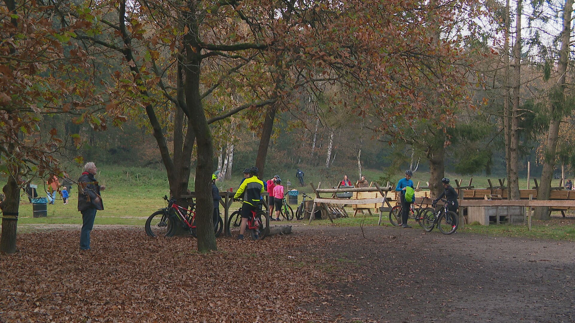 Herfstzonnetje zorgt voor extreme drukte in bosgebieden