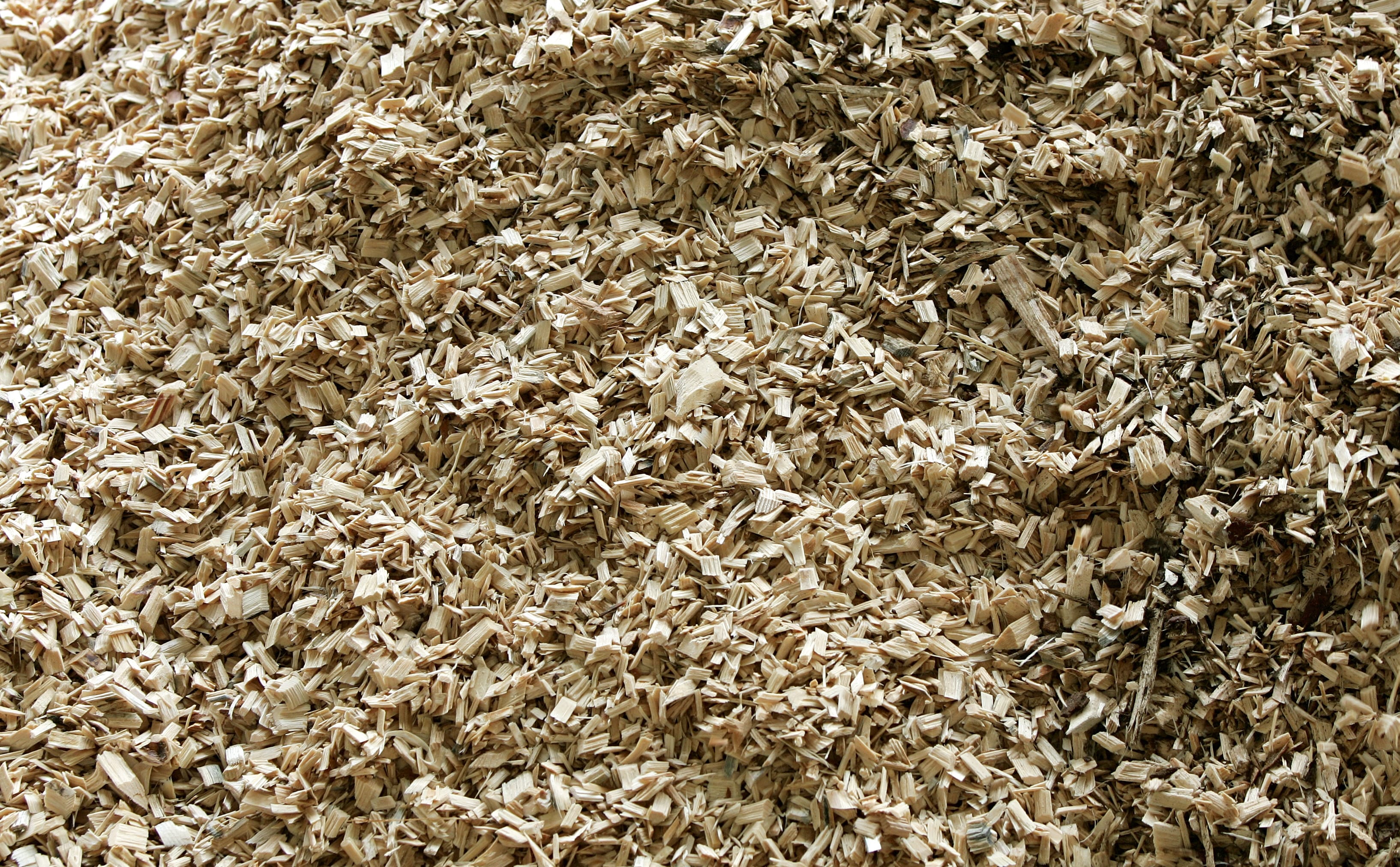 Toch mini-demonstratie tegen biomassa: 'We hebben een spandoek van 30 meter'