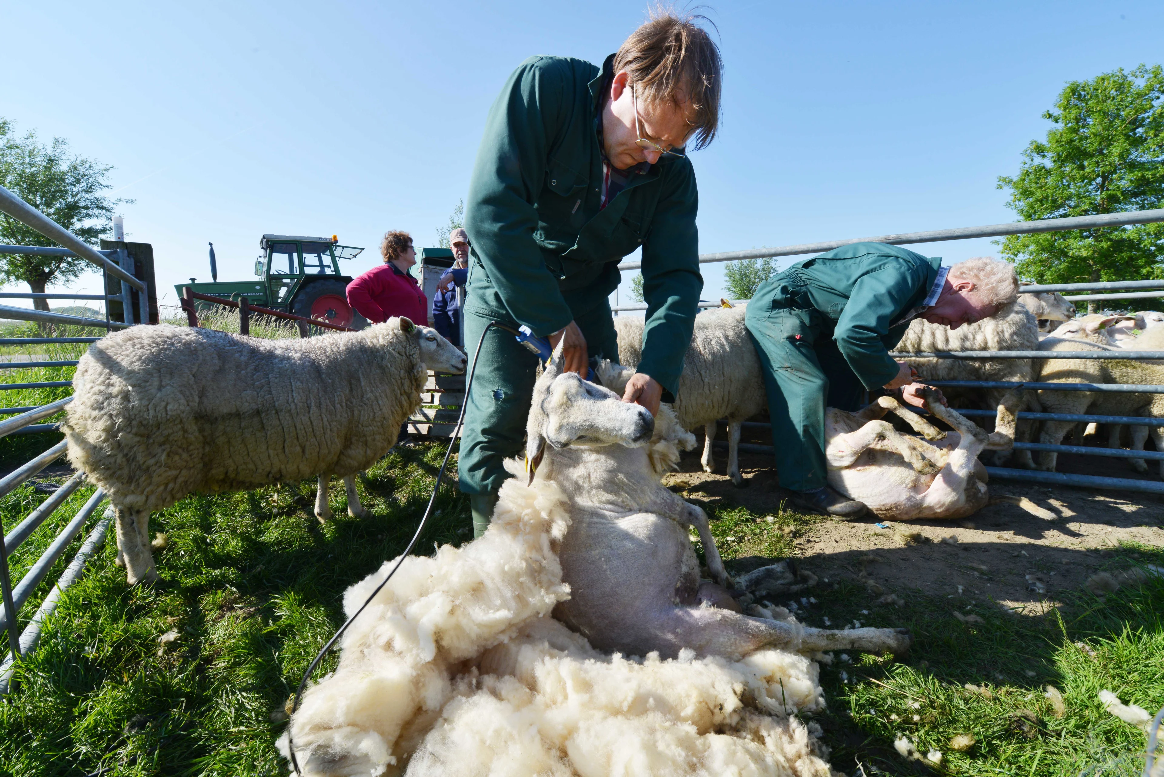 Dinsdag mogelijk tropisch warm, maar de Schaapscheerderskou komt eraan!