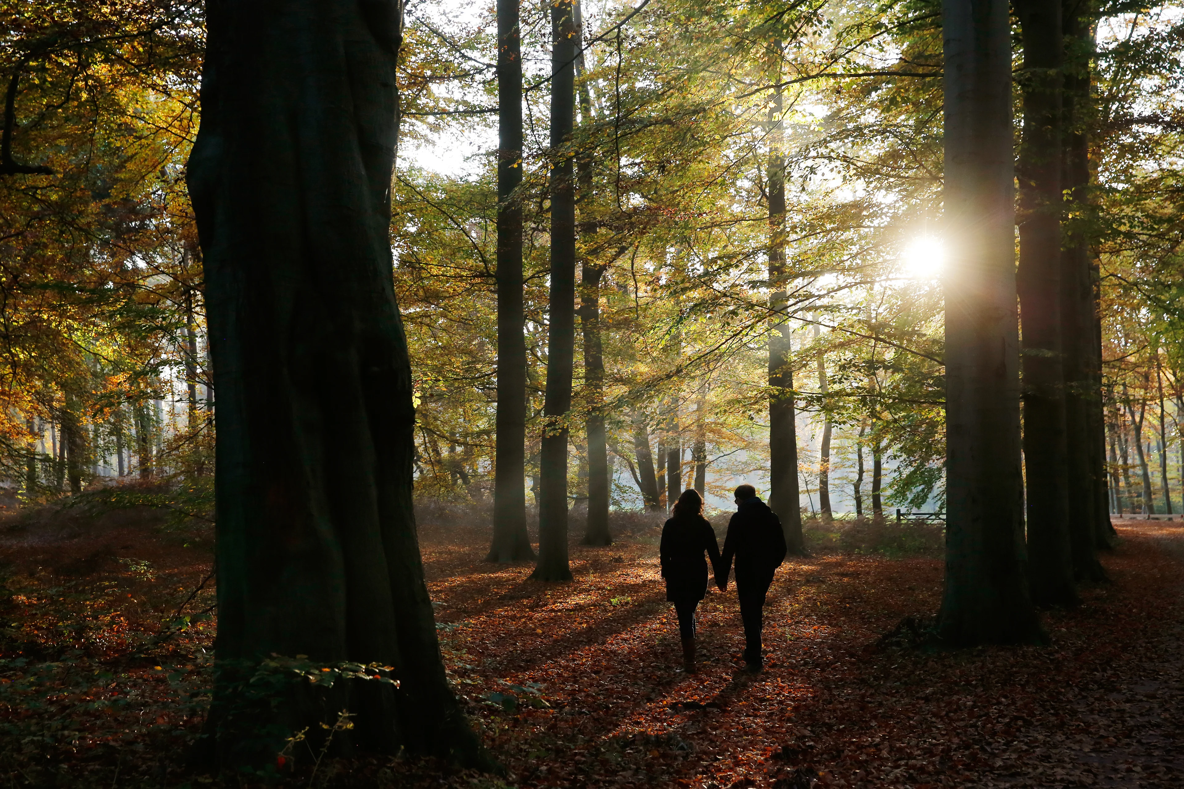 Grijze vrijdag maakt plaats voor zonniger weekend
