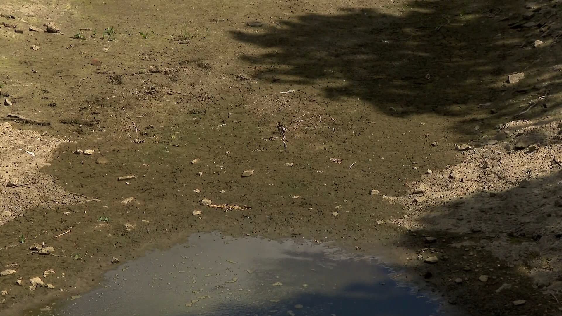 Weinig Nederlanders onder de indruk van dreigend watertekort: 'Er is toch water genoeg?'