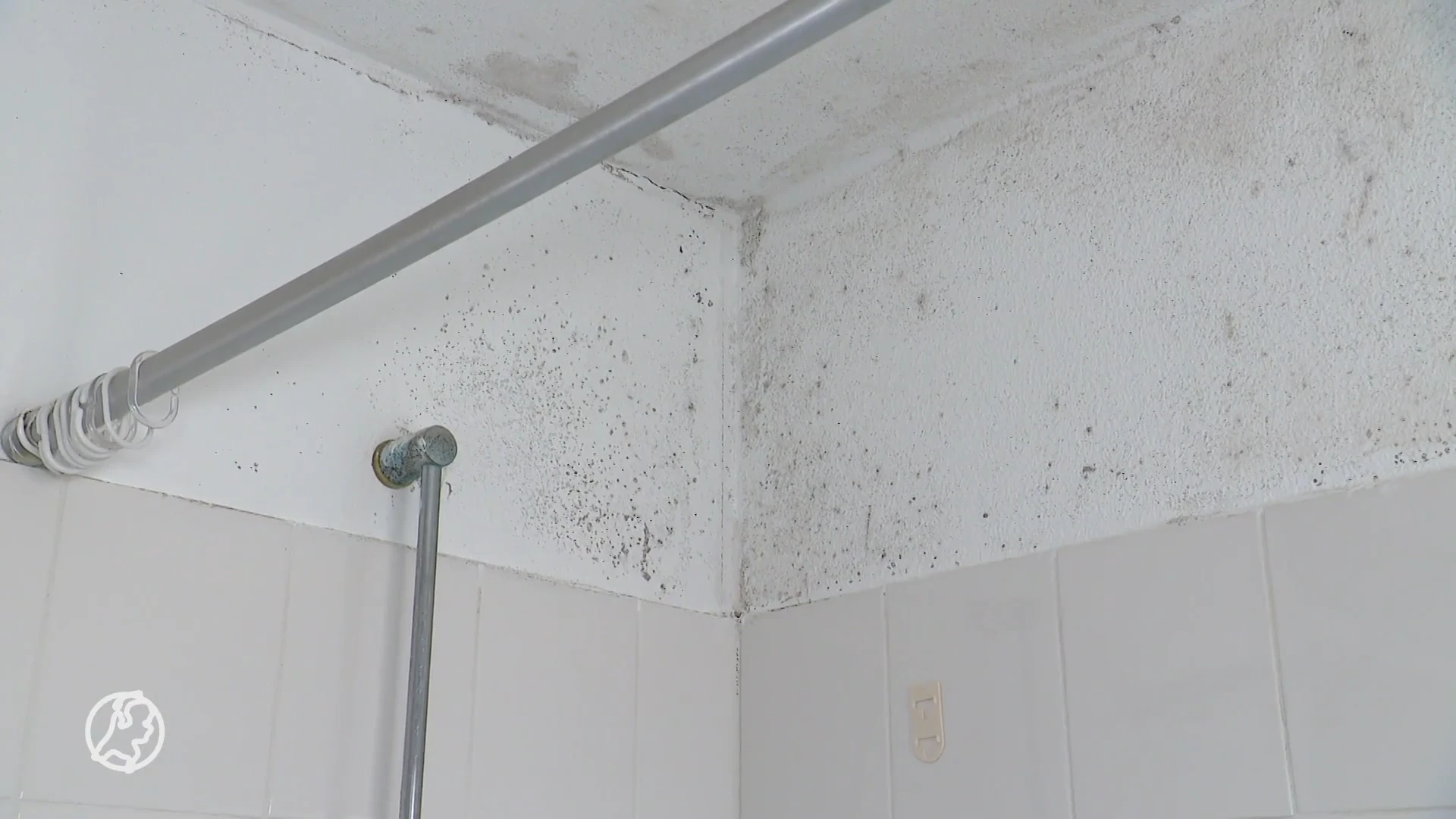 Steeds meer schimmel in huizen door al die regen, regen en regen