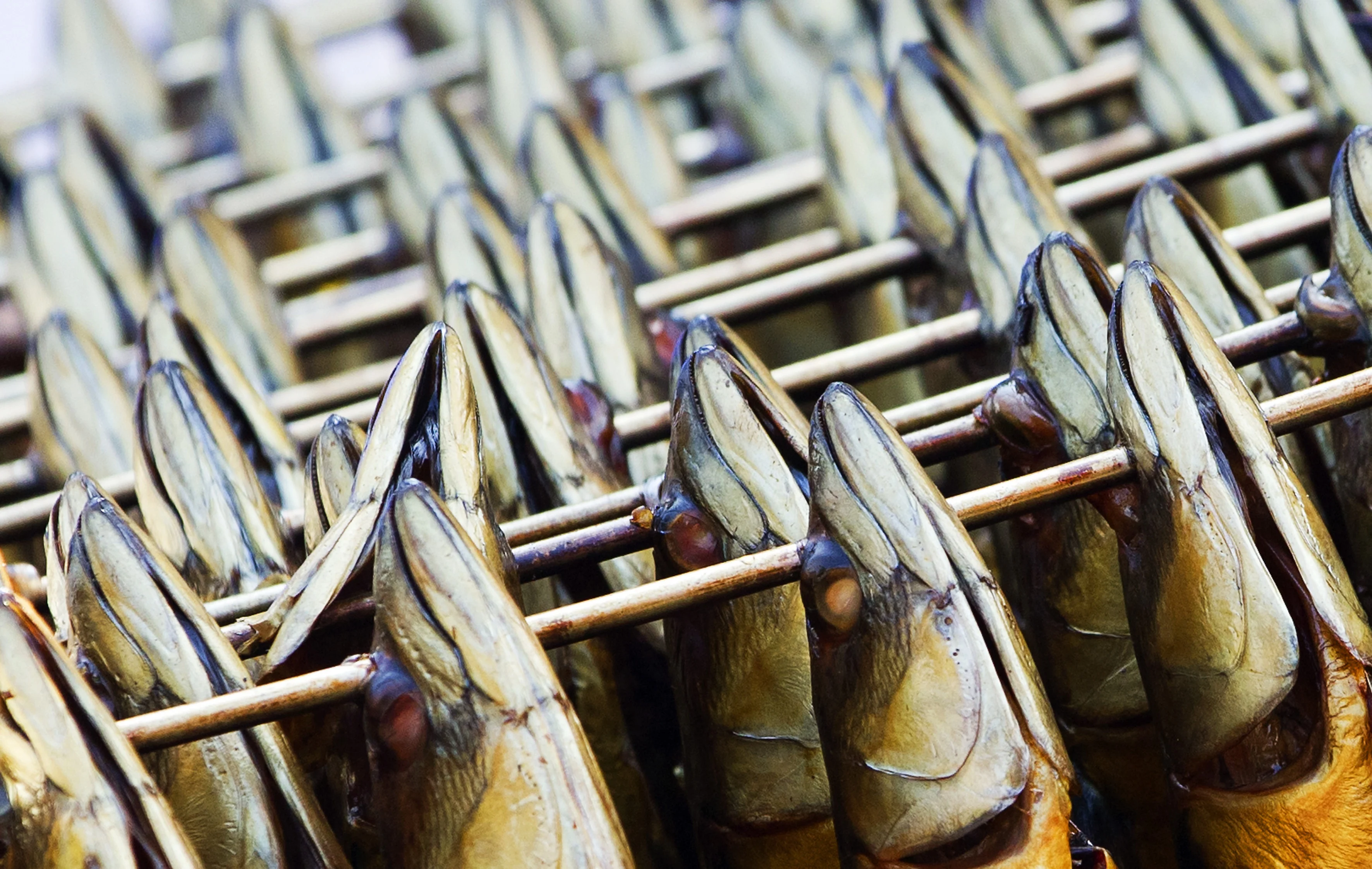 Gerookte makreel teruggeroepen door fout op de verpakking