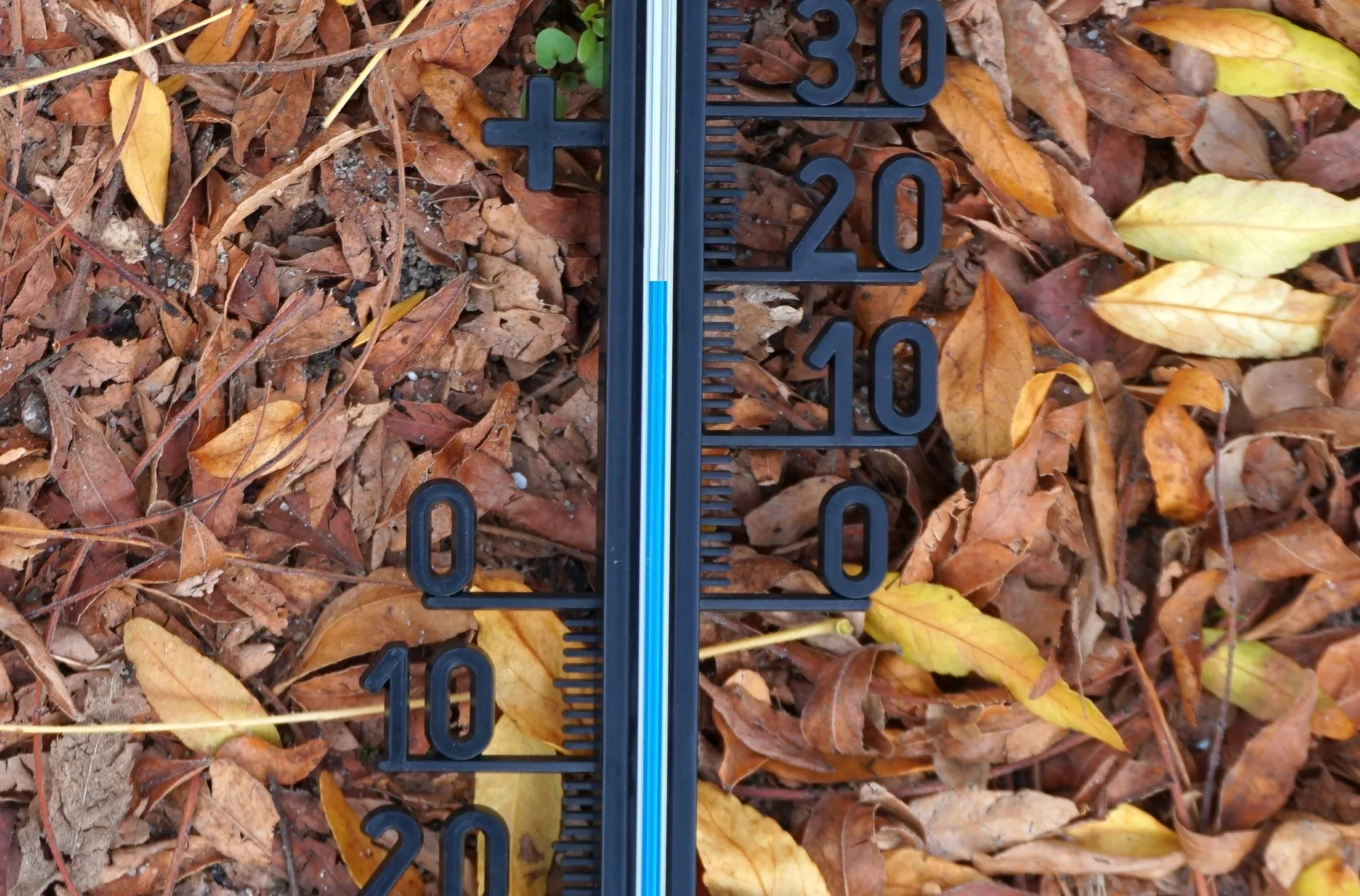 Weerrecord verbroken: het is officieel de warmste 25 oktober ooit gemeten