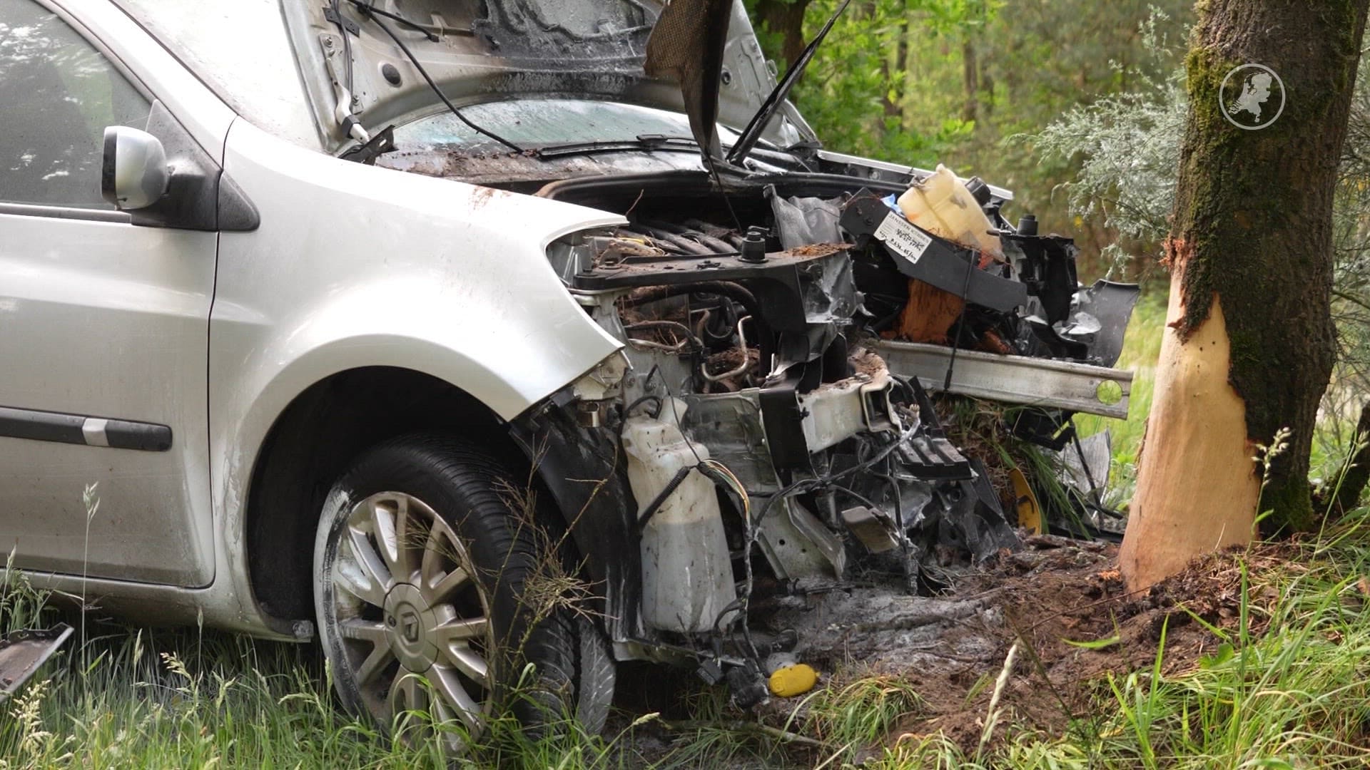 Vrouw (83) overleden na harde botsing tegen boom in Lierop