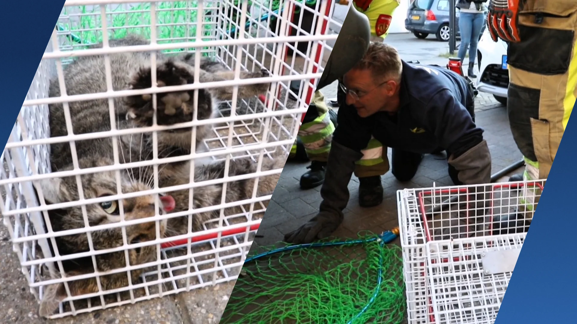 Brandweer demonteert auto om gewonde kat in Tiel te redden