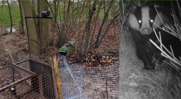 Limburg haalt laatste das weg bij tv-toren Roermond