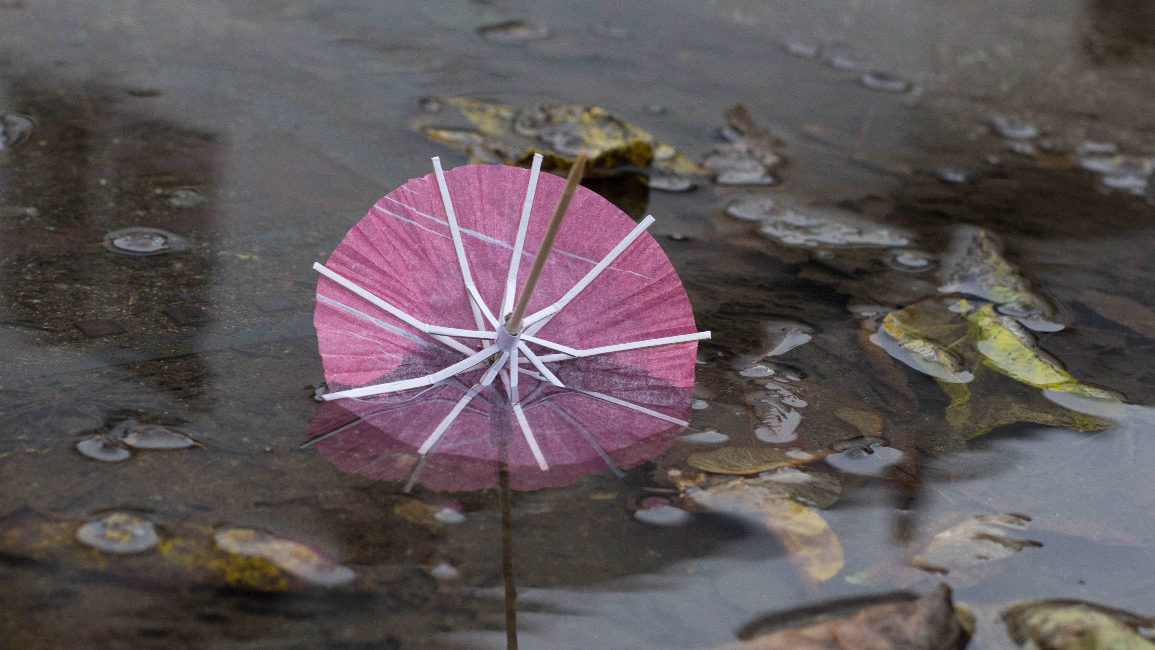 Eerst nog wat zon, maar de herfst komt eraan