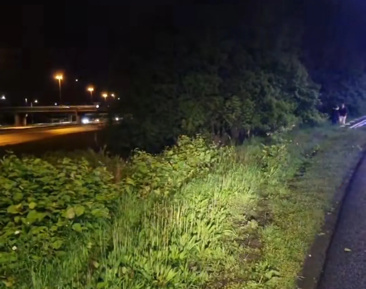 Beschonken bestuurder mist bocht en crasht: 'Wonder dat hij grote bomen heeft gemist'