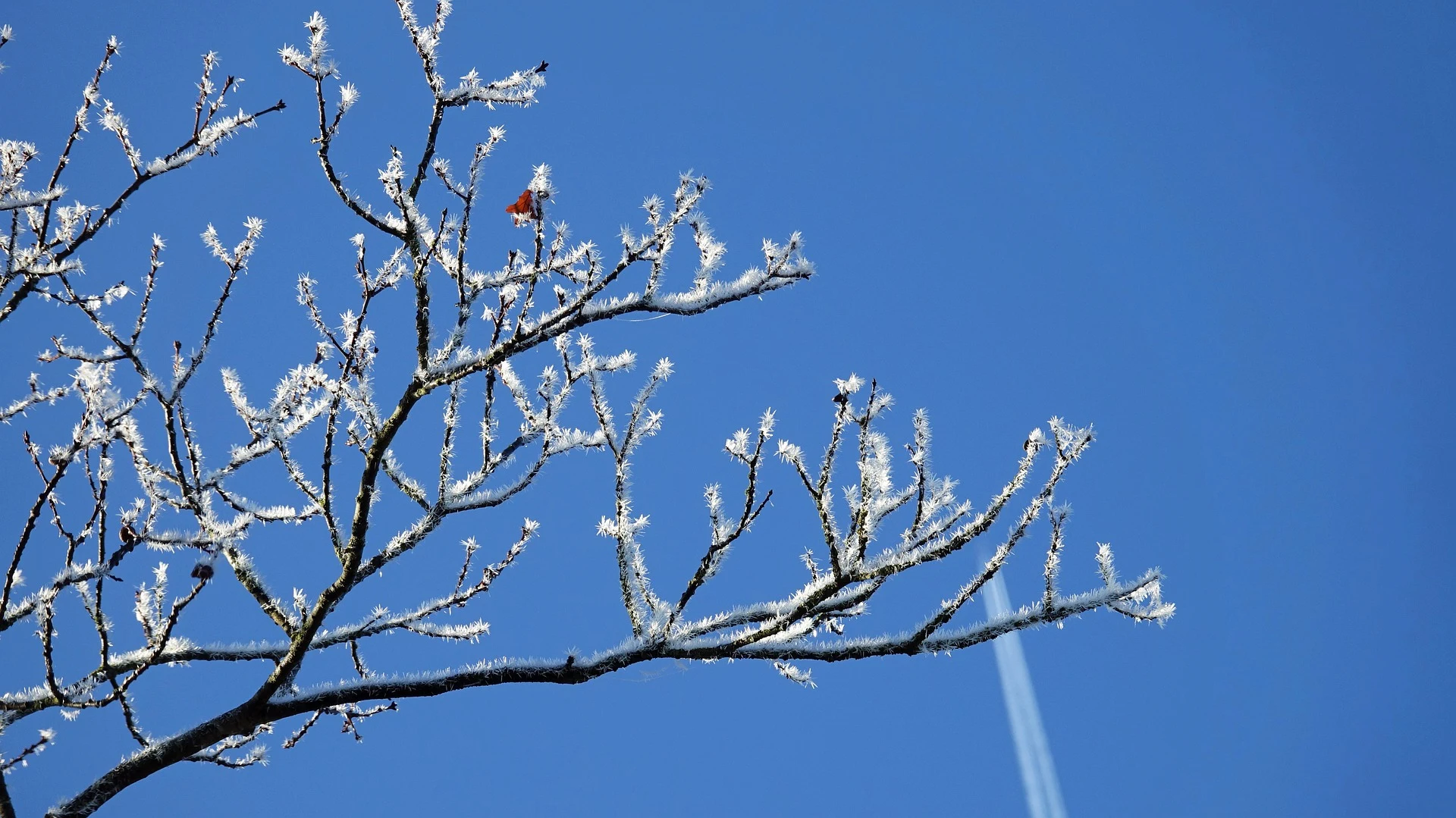 Laat dat dikke dekbed nog maar even liggen: het gaat 's nachts weer vriezen