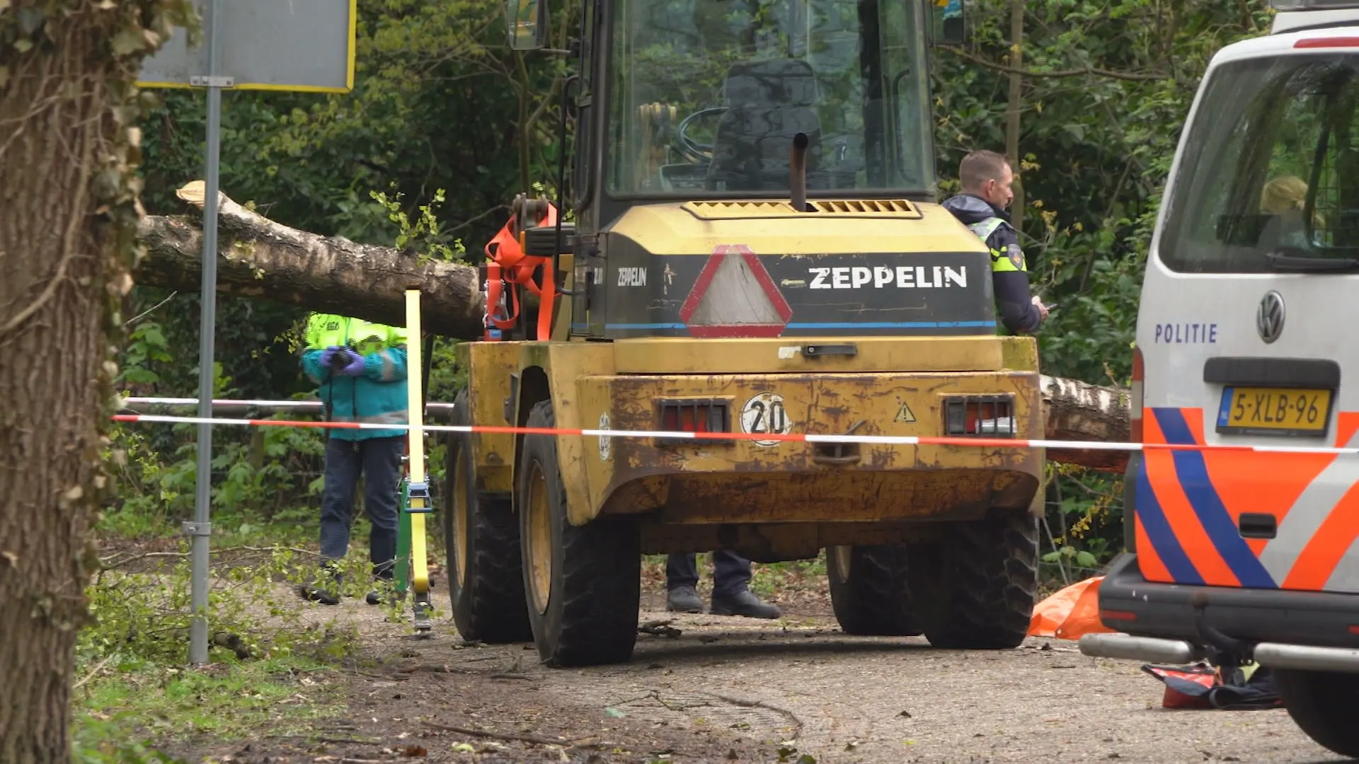 Wandelaar (43) omgekomen door omvallende boom in natuurgebied Overijssel