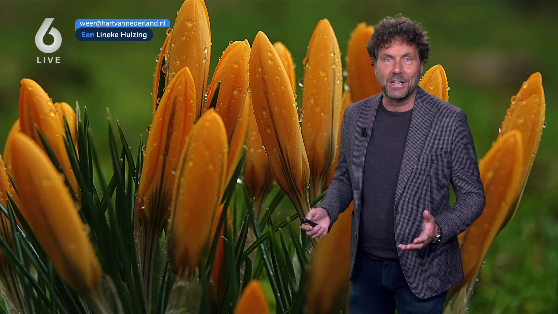 Lenteweer op komst met zonnetje en temperaturen tot 18 graden