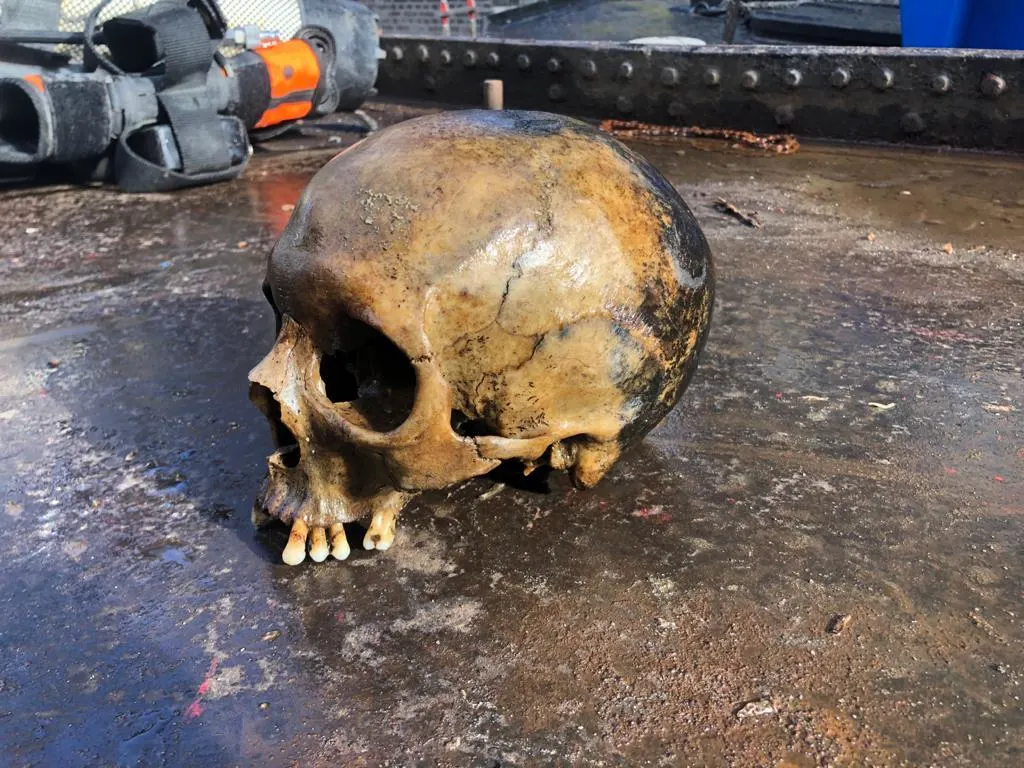 Duiker vindt schedel in gracht in Amsterdam: 'Heel spectaculair!'