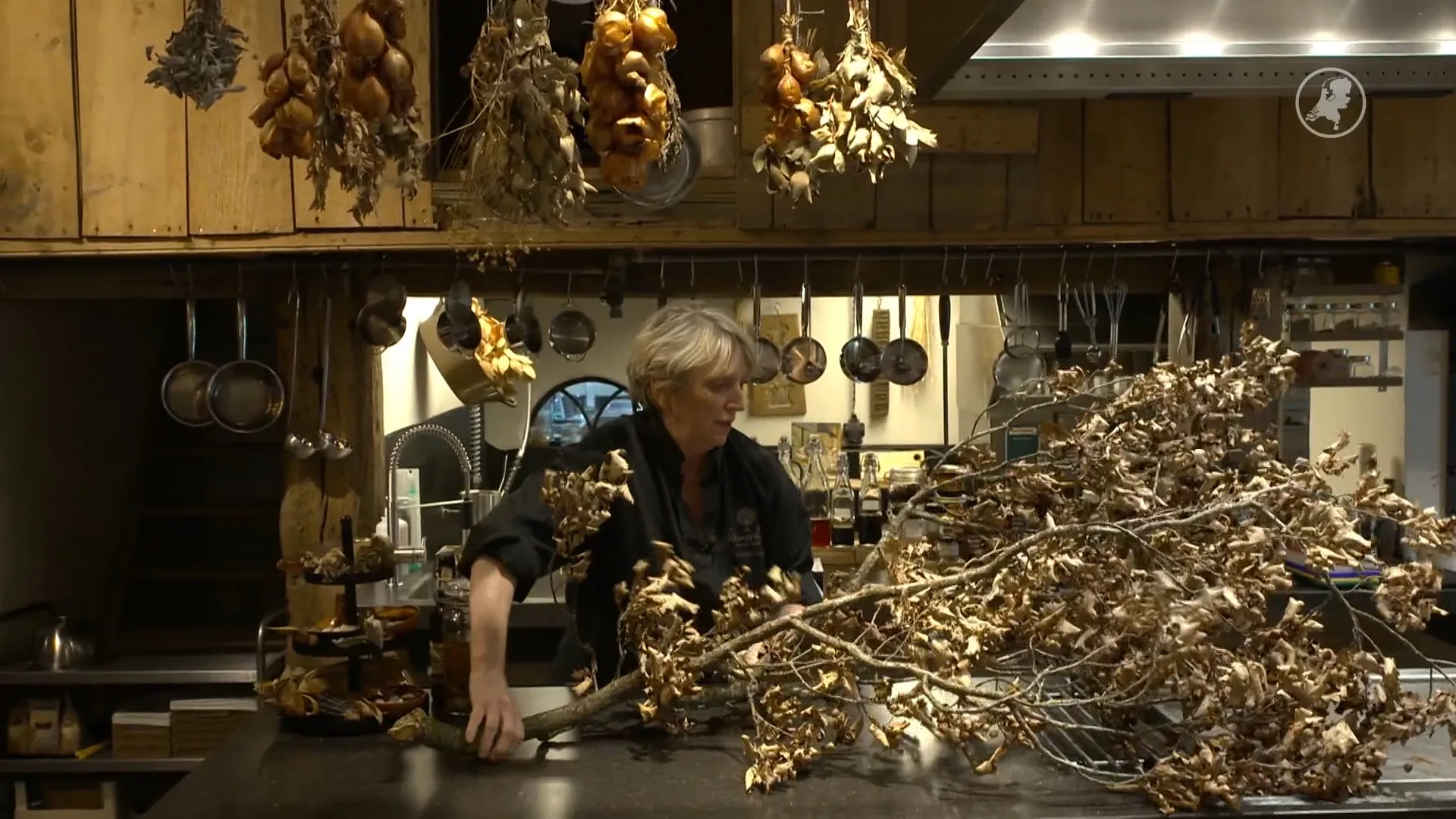 Boom wordt soep en brood, Nel kookt met stormboom