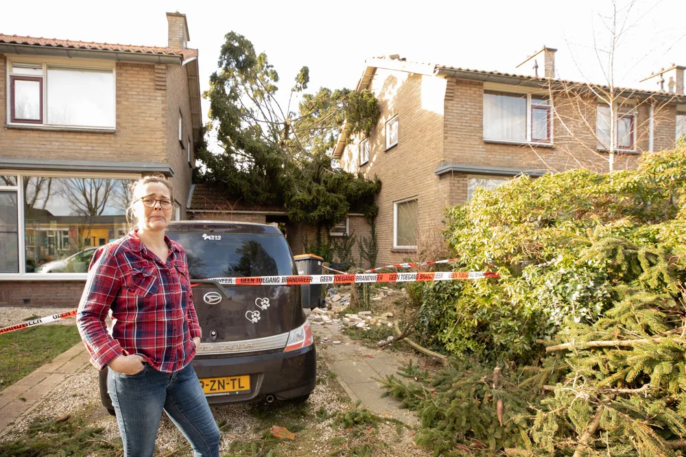 Na jaren vechten tegen de boom van de buren ligt hij nu op Tanja's huis en auto