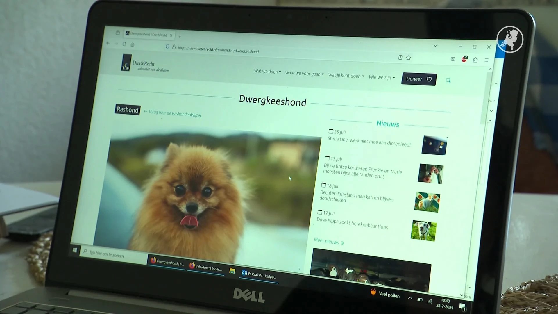 Dierenartsen waarschuwen: kies niet voor een minihondje