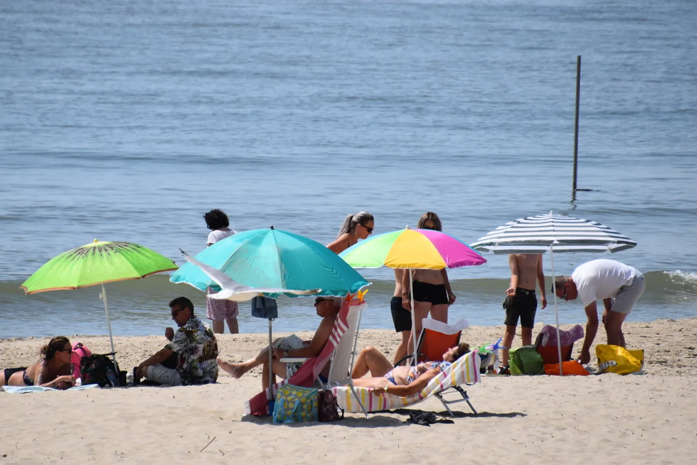 Tropisch zomerweer op komst: dit weekend mogelijk 30 graden