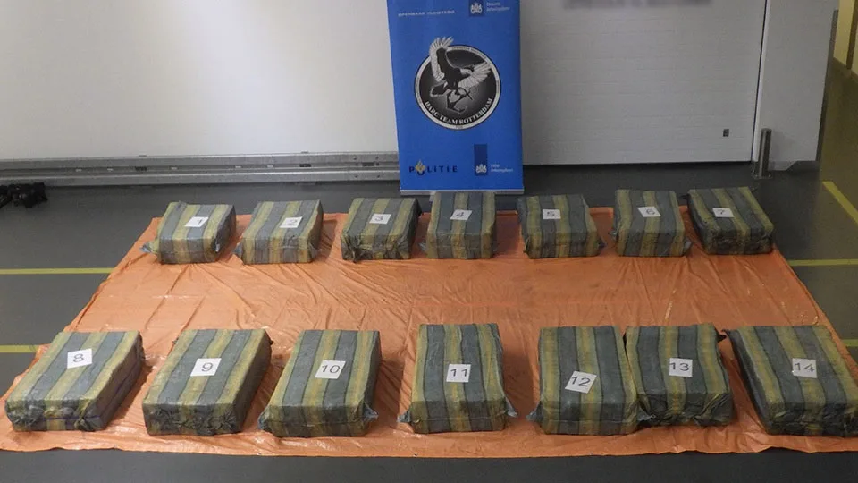 Opnieuw grote drugsvangst: voor 75 miljoen euro aan cocaïne tussen ananassen
