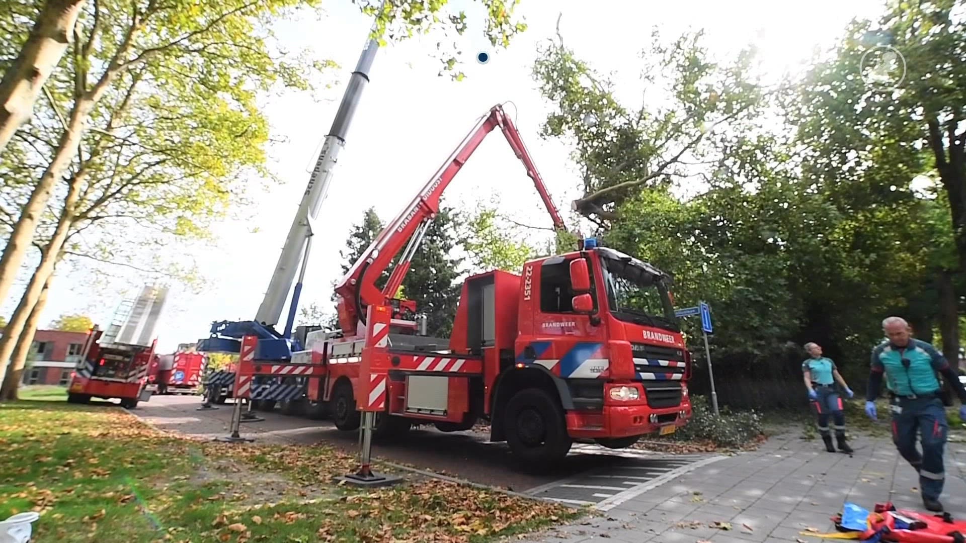 Man overleden aangetroffen in boom Waalre