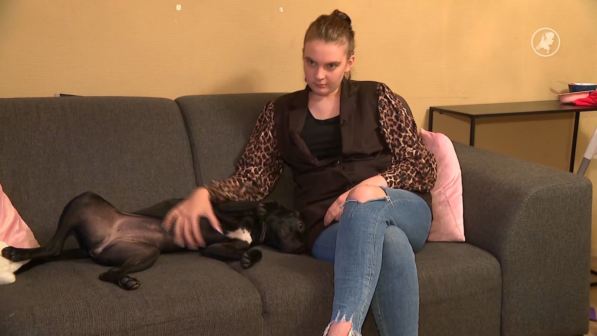 Chantal vindt vermiste hondje terug op Marktplaats