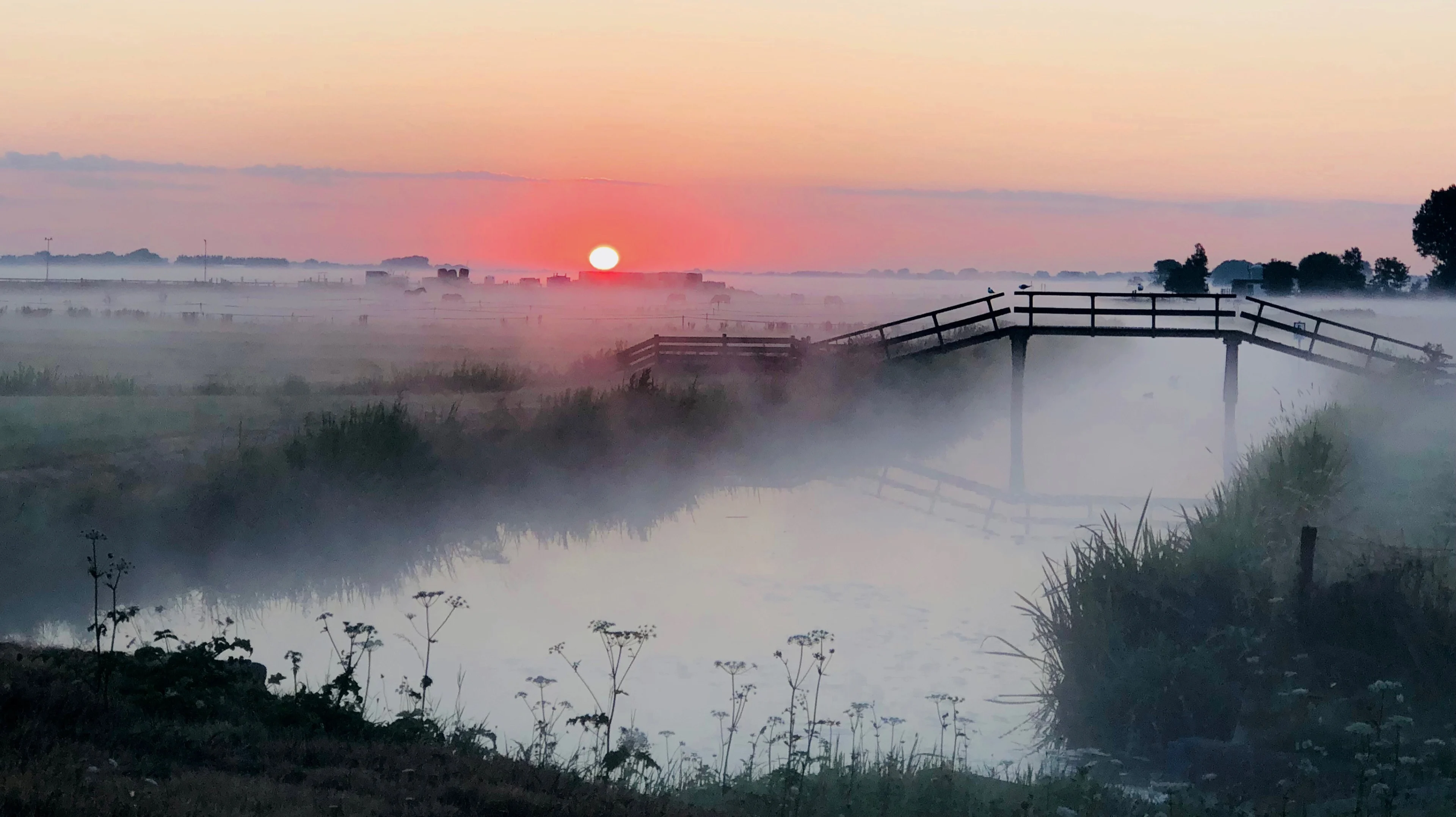 Stralend herfstweekend met temperaturen tot 18 graden voor de boeg