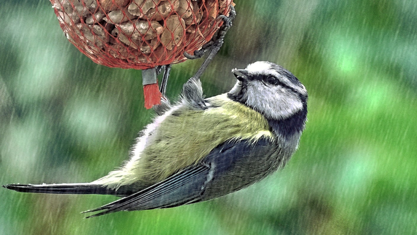 Vandaag droog en geregeld zon, morgen onstuimig en kletsnat