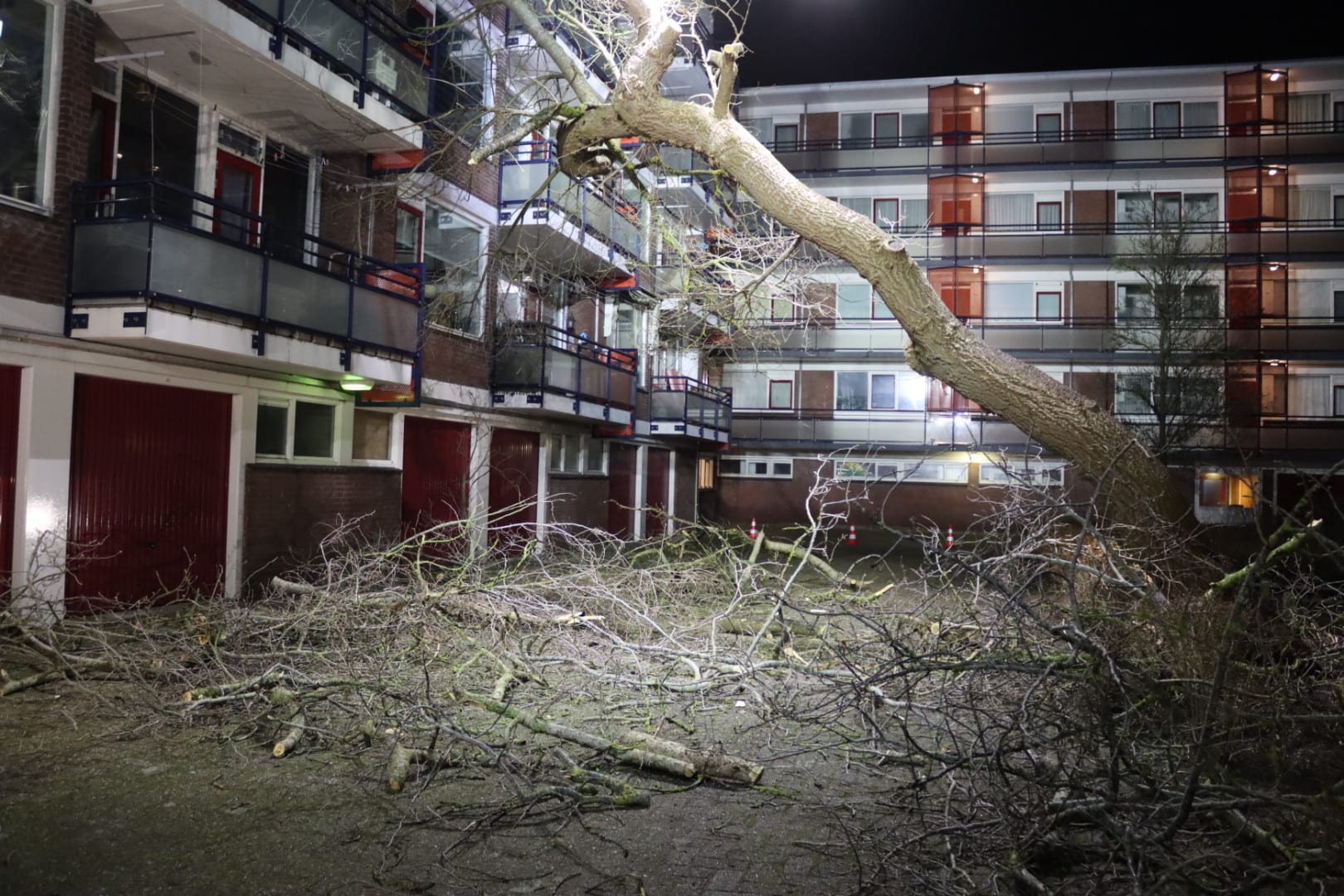 Bomen vallen op flat en auto's: flinke schade in Katwijk en Den Haag