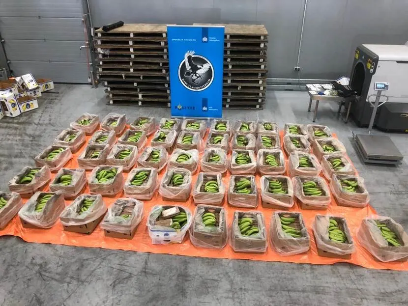 Drugsspeurders onderscheppen partij cocaïne van ruim 56 miljoen euro