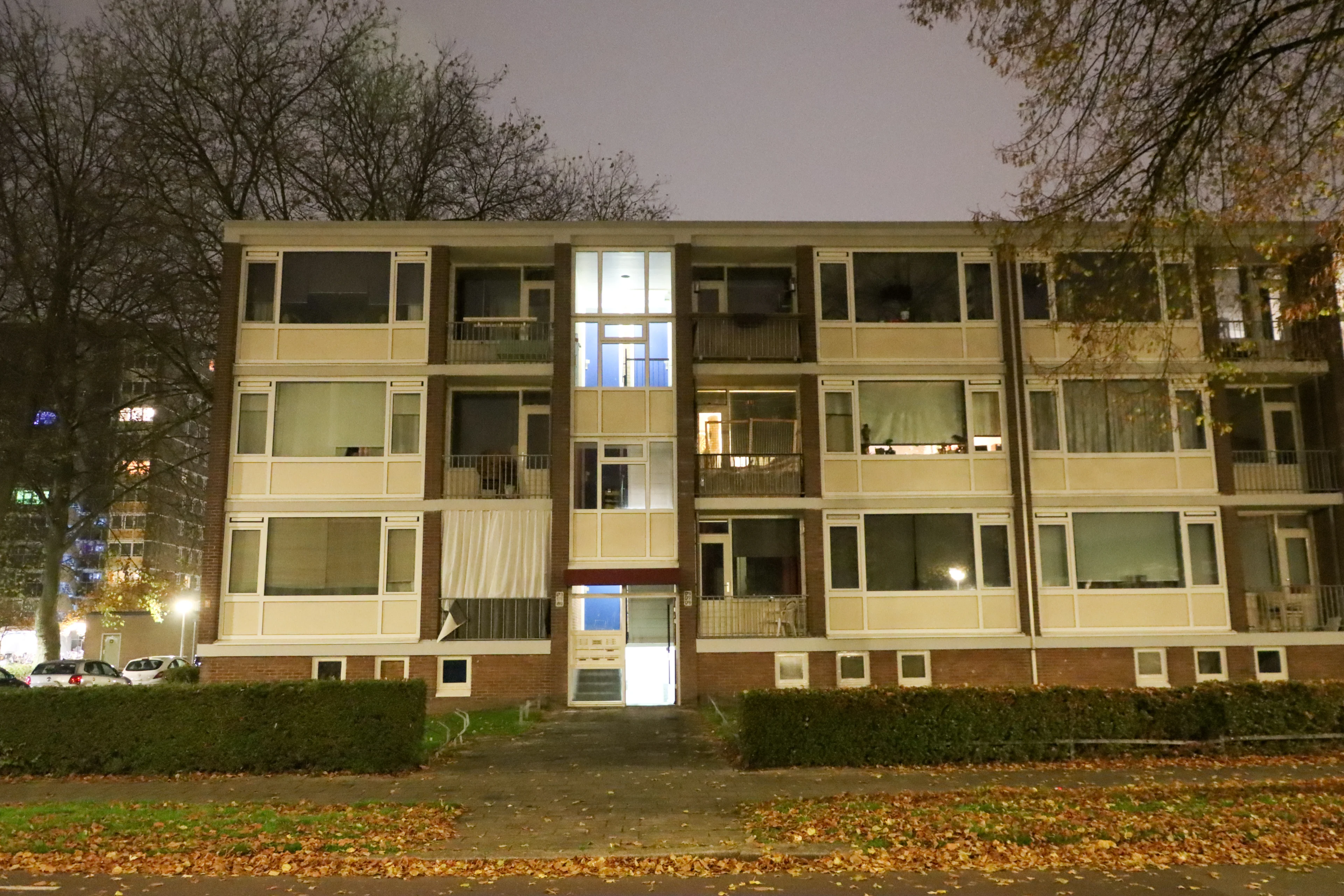 Doorbraak in onderzoek moord op Daan Mellée: man (38) aangehouden