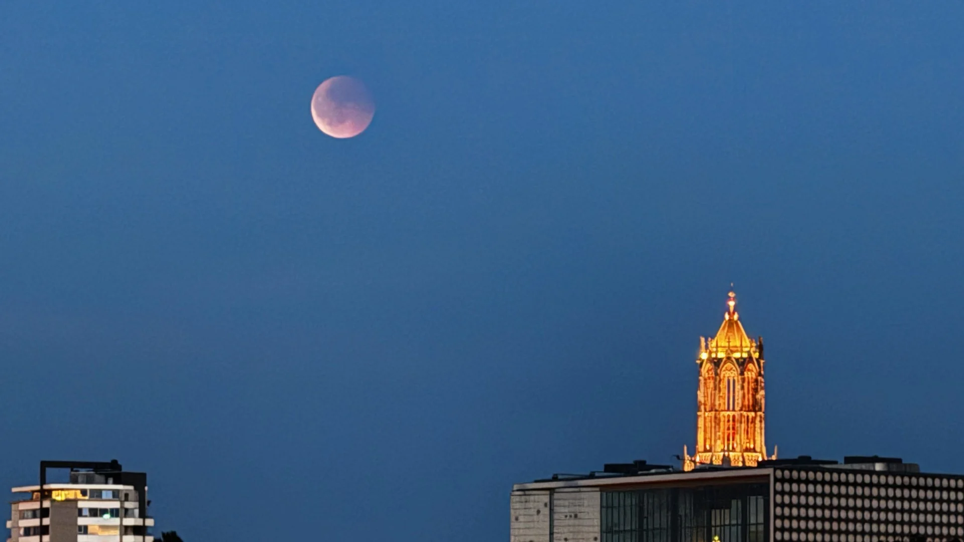 ZIEN: bloedmaan liet op zich wachten, maar geduld toch beloond