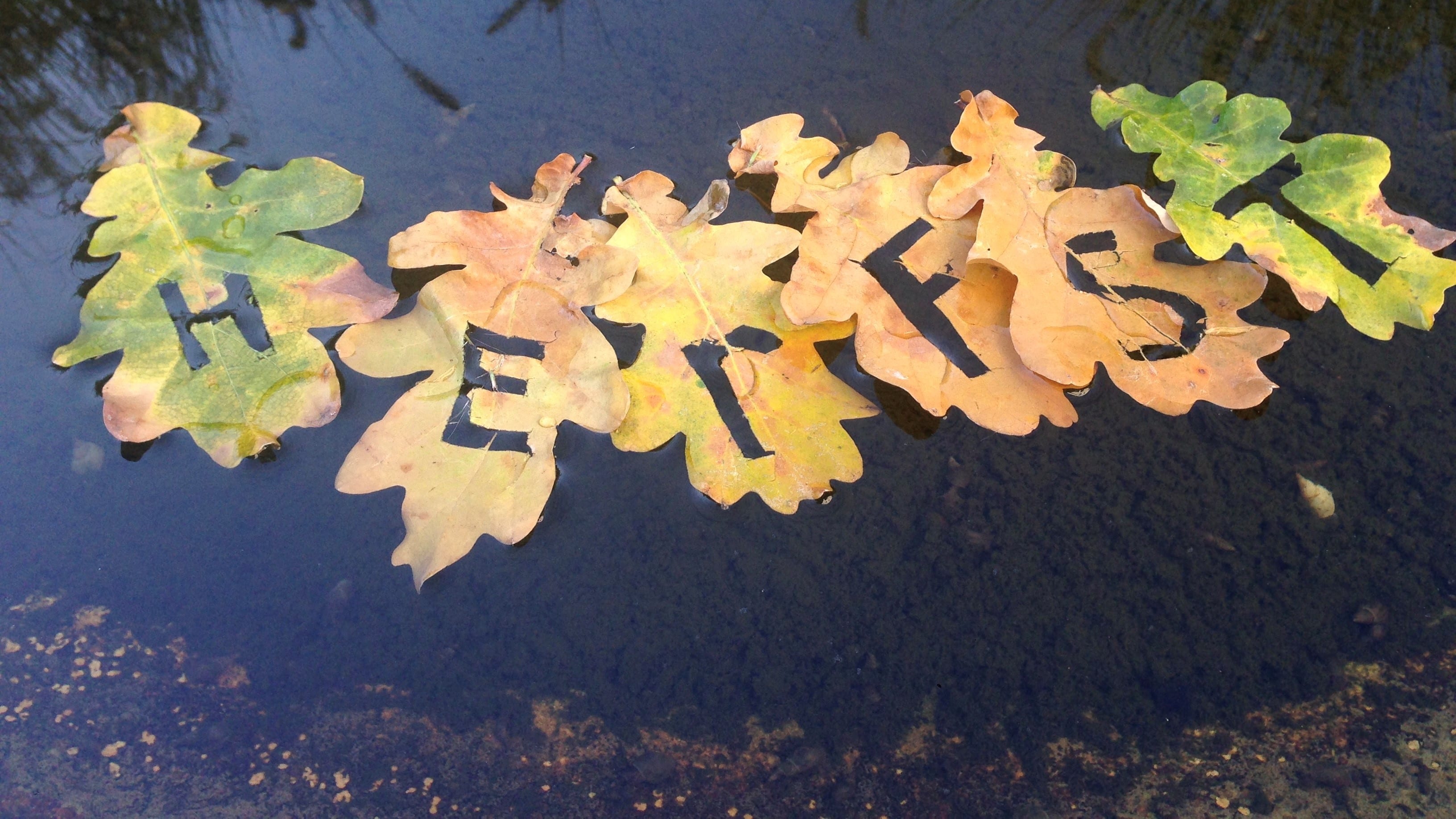 Astronomische herfst begint met fris en wisselvallig weer