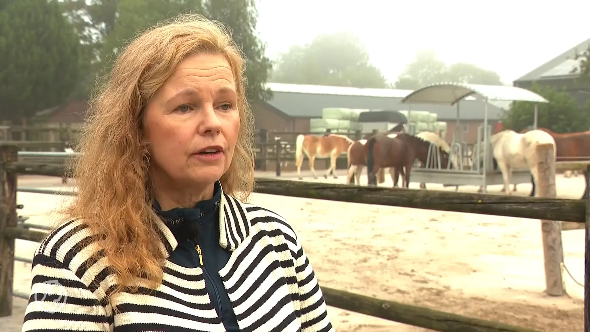 Rouwadvertenties voor huisdieren? Dat moet er zeker komen, zegt Nienke