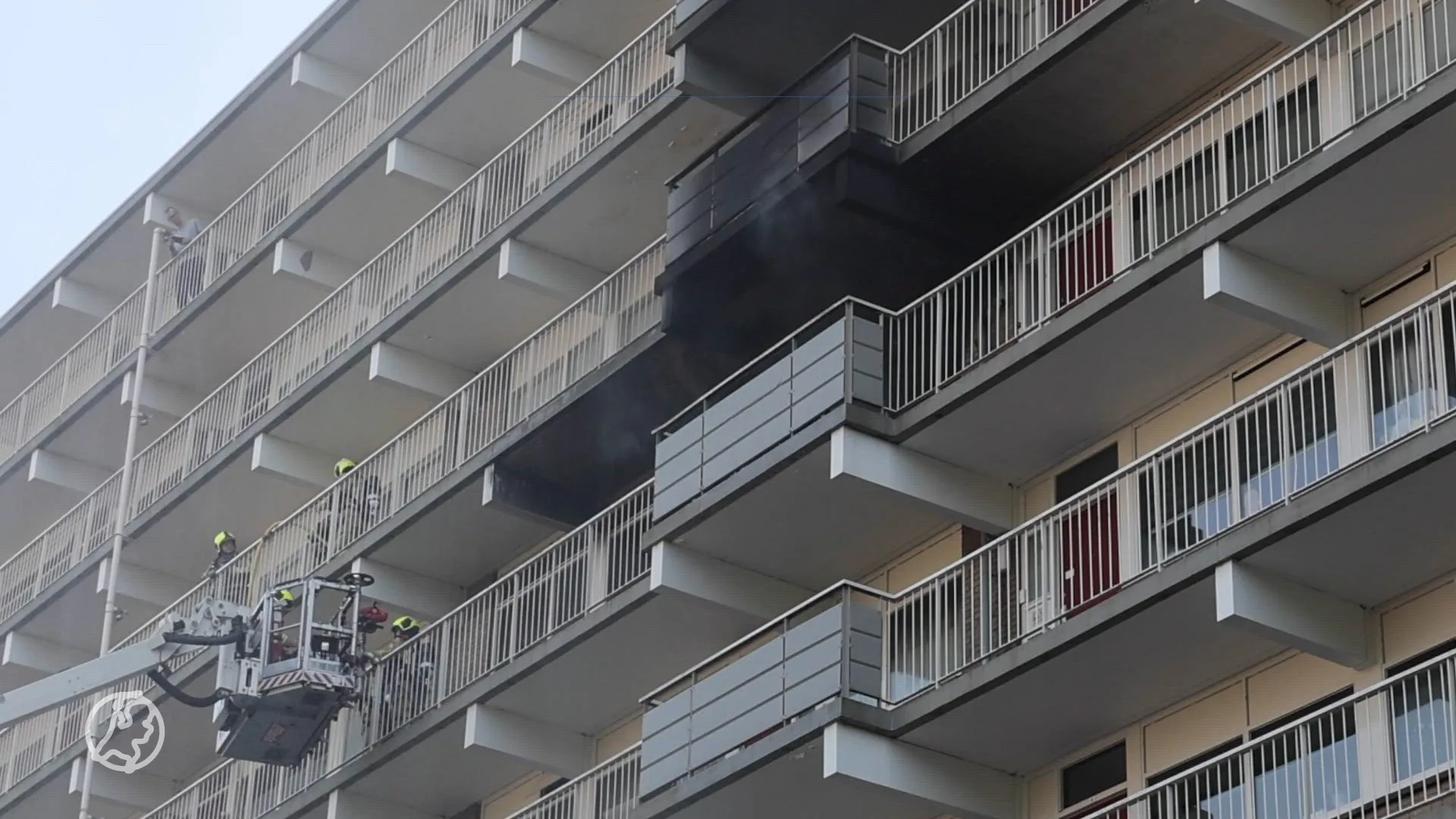 Hond omgekomen bij brand in Zoetermeer