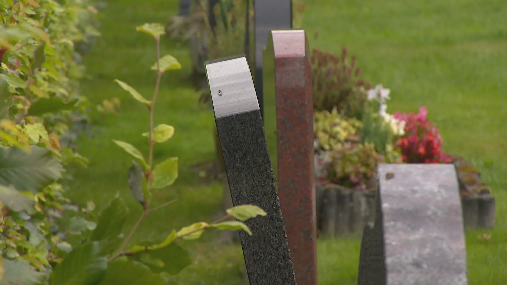 Groningse grafstenen trillen scheef door aardbevingen: 'Schokkend, letterlijk en figuurlijk'