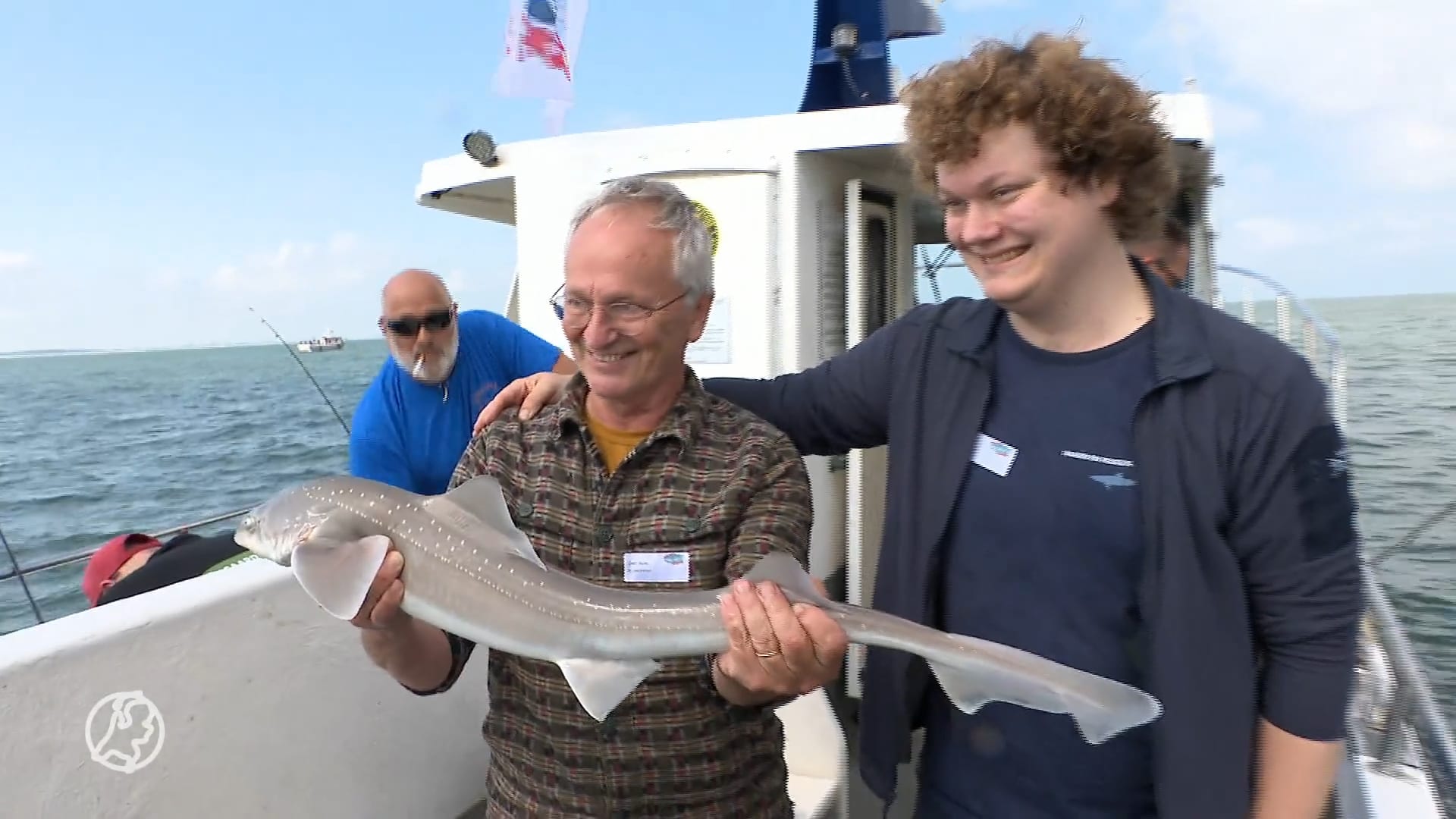 Sportvissers zien steeds vaker haaien in de Noordzee