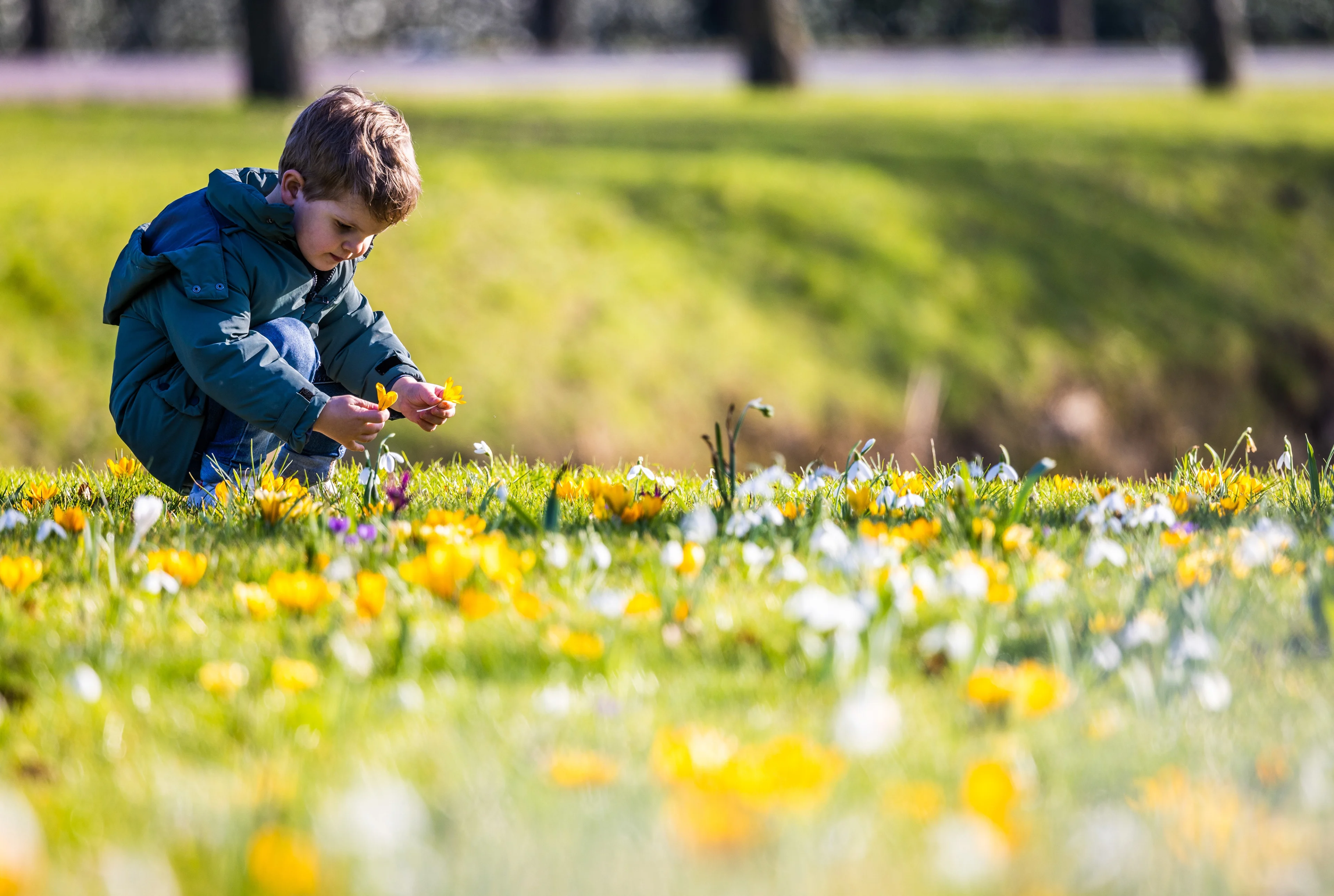 Het blijft nog even lenteachtig: maandag lokaal 15 graden