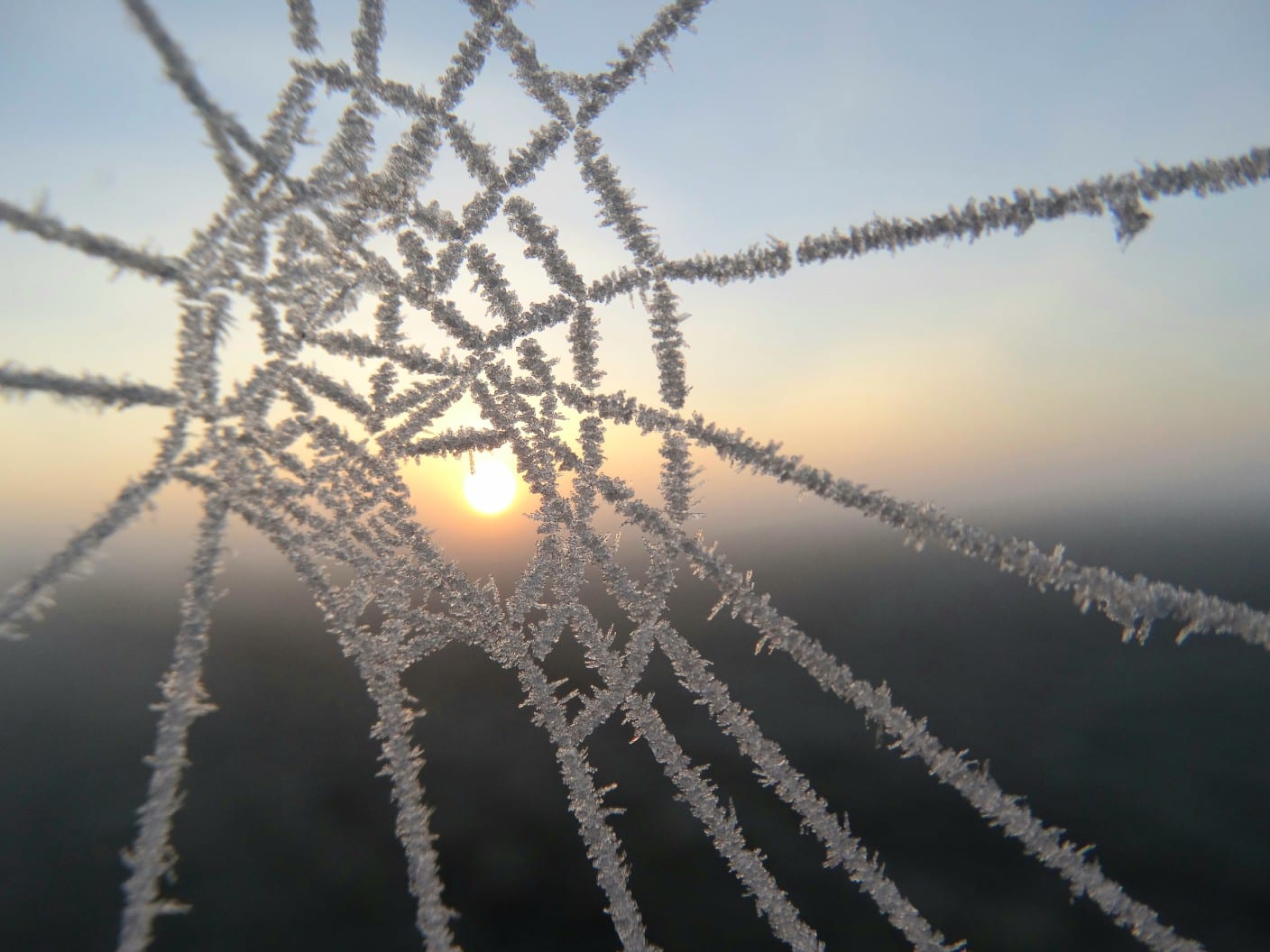 Eerste vorst van herfst gemeten, en het blijft vriezen: 'Autoruiten krabben'
